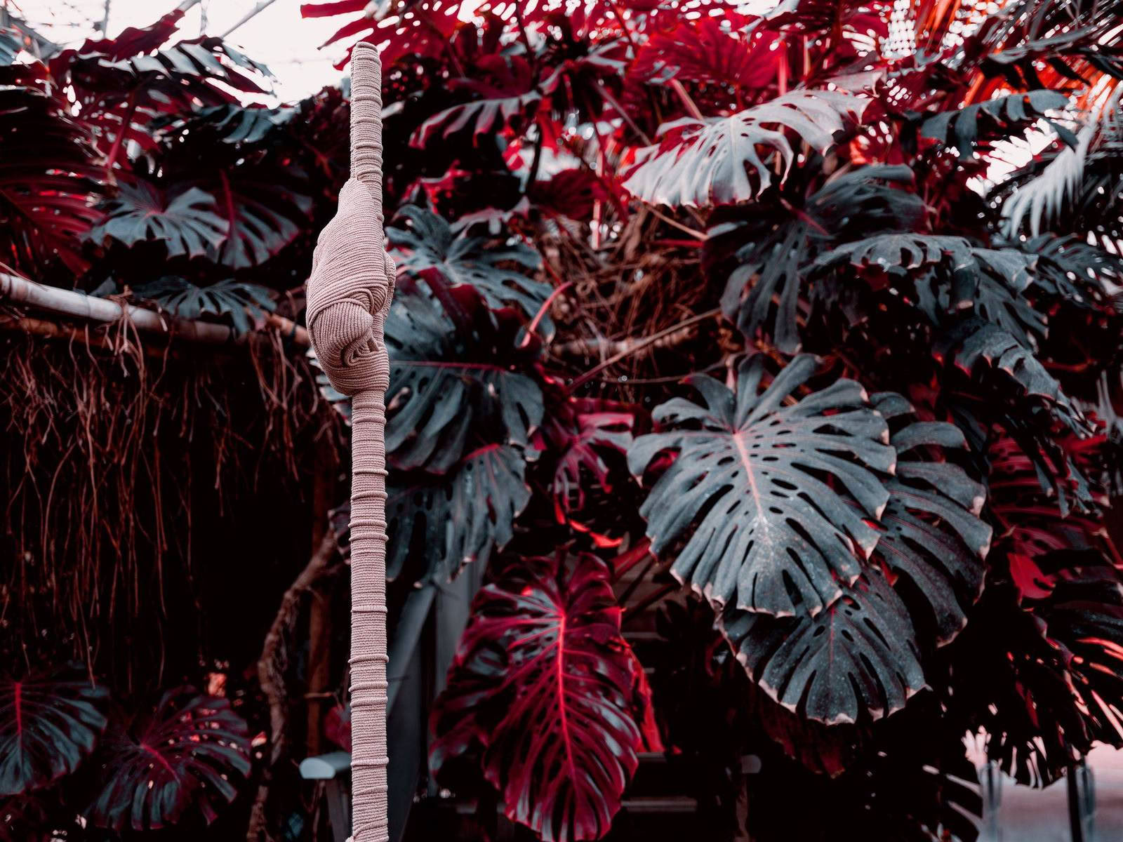 For a new collaboration with Xavier Brisoux , Mathieu Drouet chose the equatorial greenhouse at the Jardin des Plantes in Lille, designed by architect Jean-Pierre Secq, as the set… - Image 8