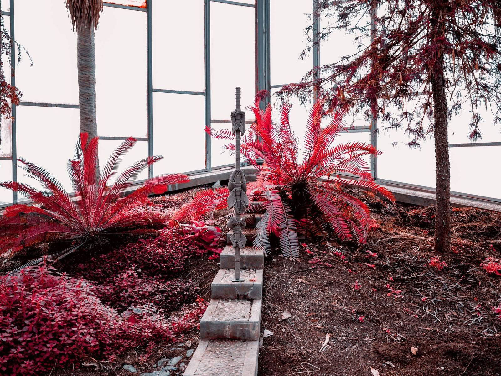 For a new collaboration with Xavier Brisoux , Mathieu Drouet chose the equatorial greenhouse at the Jardin des Plantes in Lille, designed by architect Jean-Pierre Secq, as the set… - Image 9