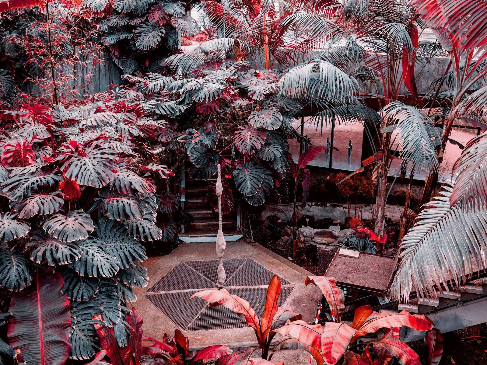 For a new collaboration with Xavier Brisoux , Mathieu Drouet chose the equatorial greenhouse at the Jardin des Plantes in Lille, designed by architect Jean-Pierre Secq, as the set… - Image 10