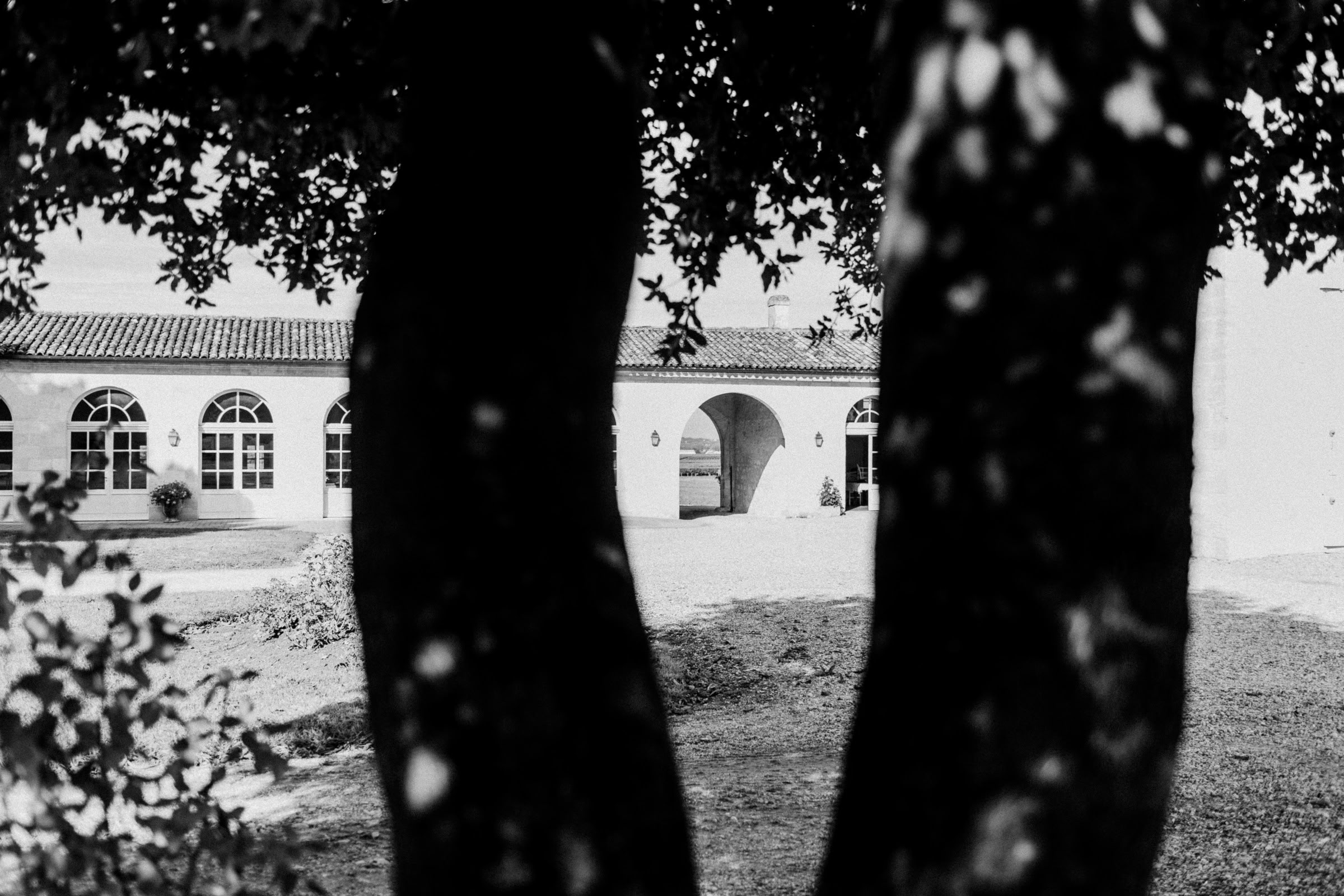Wine estate photography: Chateau Grand-Mayne - Saint-Emilion - Bordeaux. Château Grand Mayne, a prominent estate in the heart of Saint-Émilion. Dating back to the 15th… - Image 2