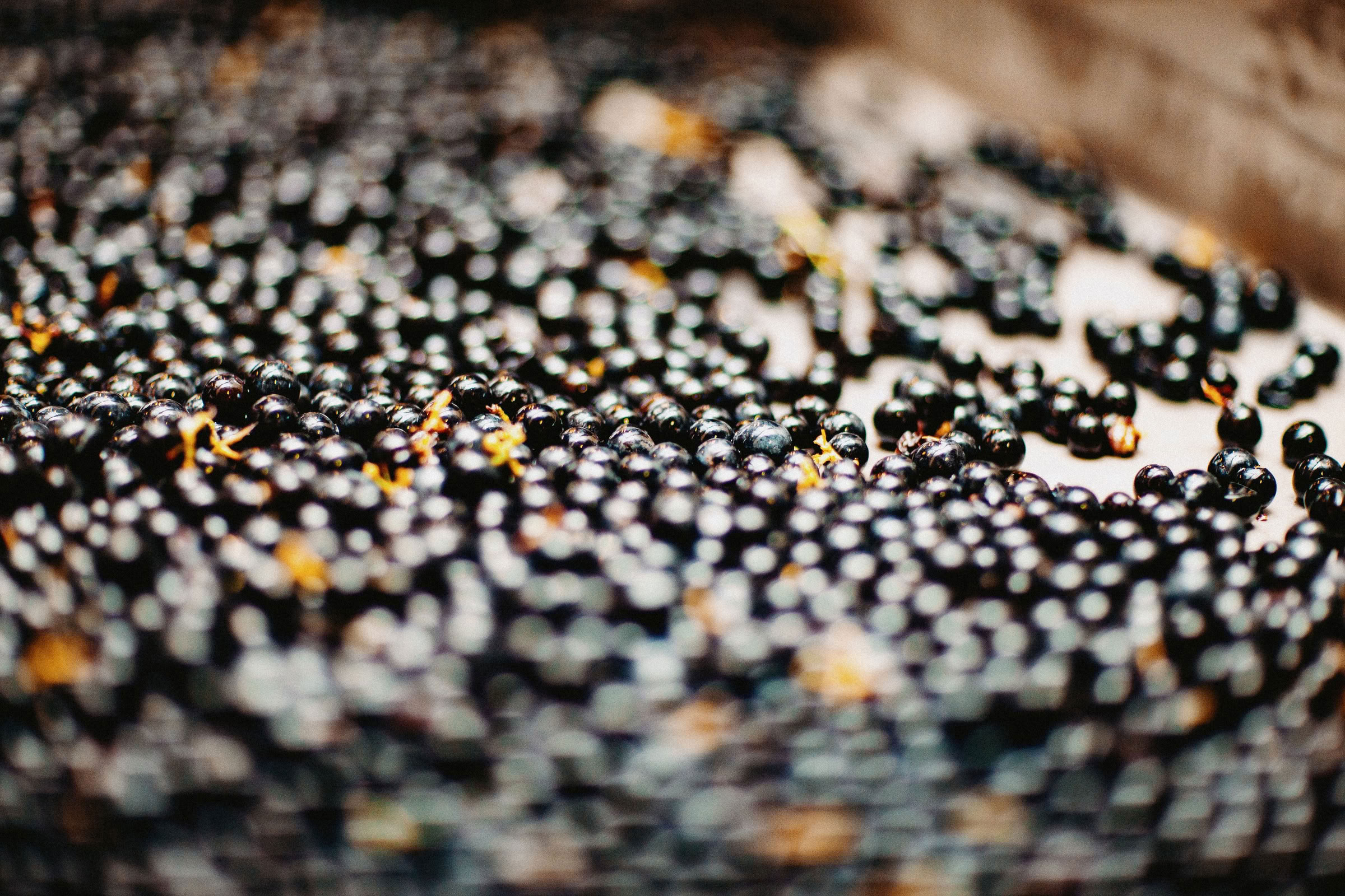 Wine estate photography: Chateau Grand-Mayne - Saint-Emilion - Bordeaux. Château Grand Mayne, a prominent estate in the heart of Saint-Émilion. Dating back to the 15th… - Image 3