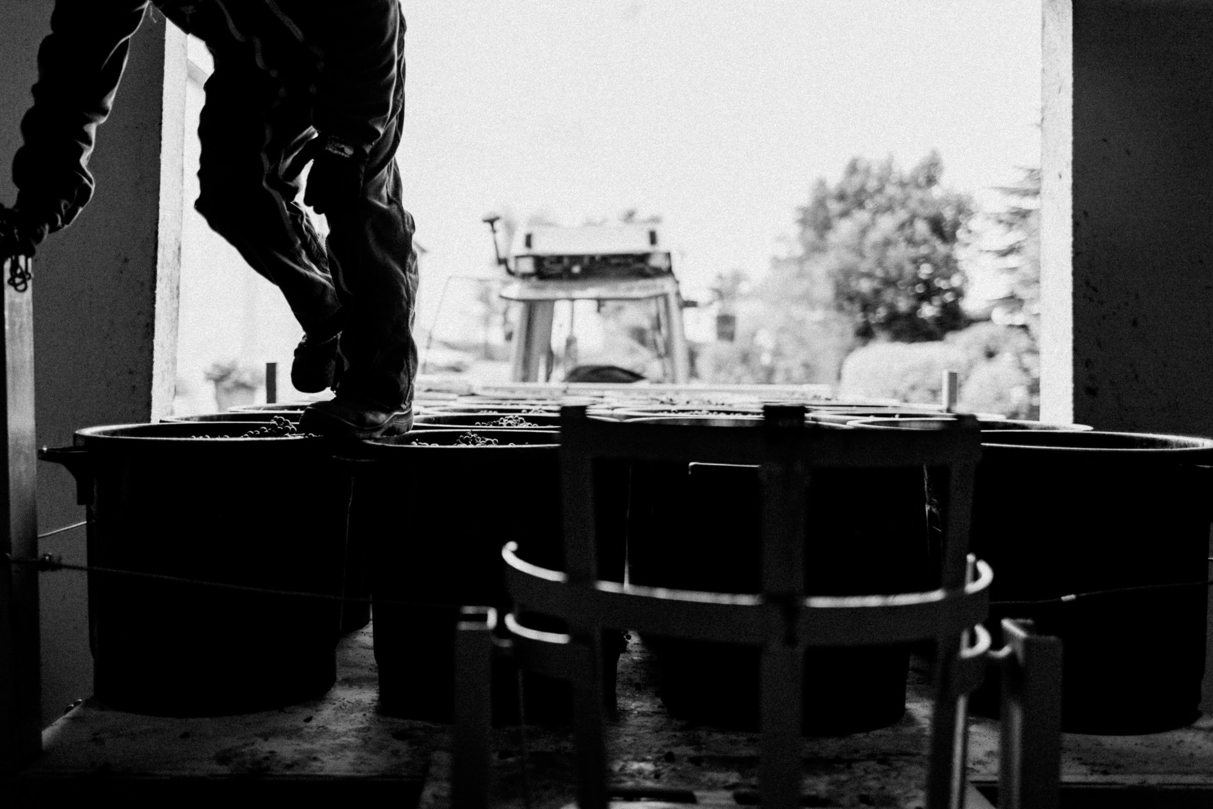 Wine estate photography: Chateau Grand-Mayne - Saint-Emilion - Bordeaux. Château Grand Mayne, a prominent estate in the heart of Saint-Émilion. Dating back to the 15th… - Image 5