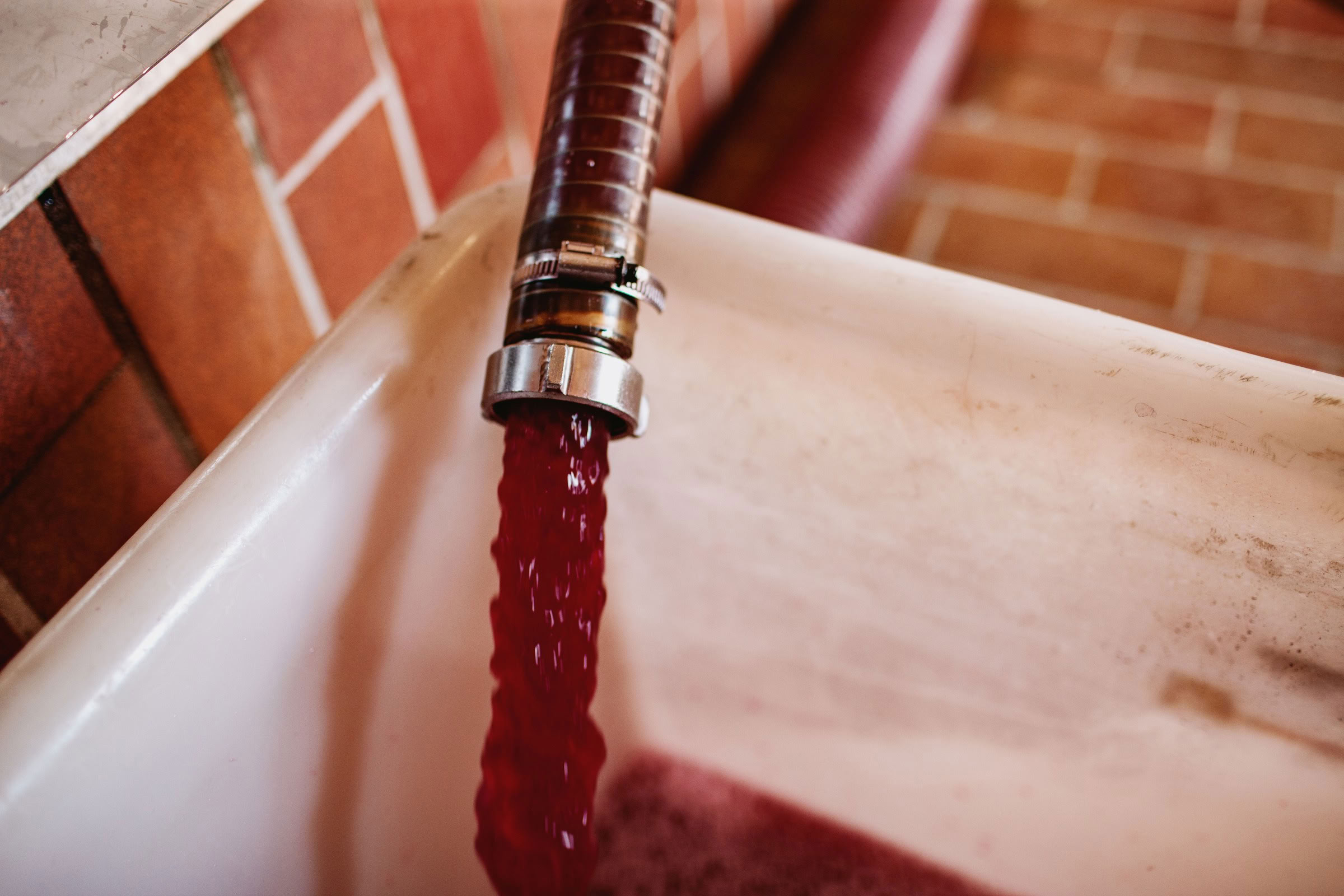 Wine estate photography: Chateau Grand-Mayne - Saint-Emilion - Bordeaux. Château Grand Mayne, a prominent estate in the heart of Saint-Émilion. Dating back to the 15th… - Image 32