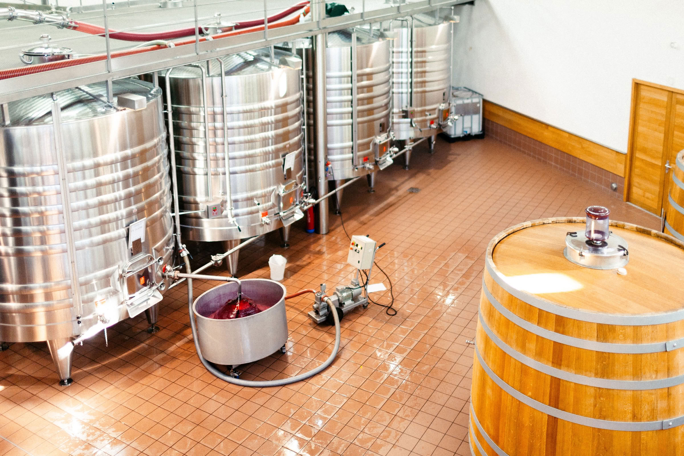 Wine estate photography: Chateau Lagune - Haut Medoc - Bordeaux. This photograph showcases Château La Lagune, a distinguished estate in the Haut-Médoc appellation of… - Image 3