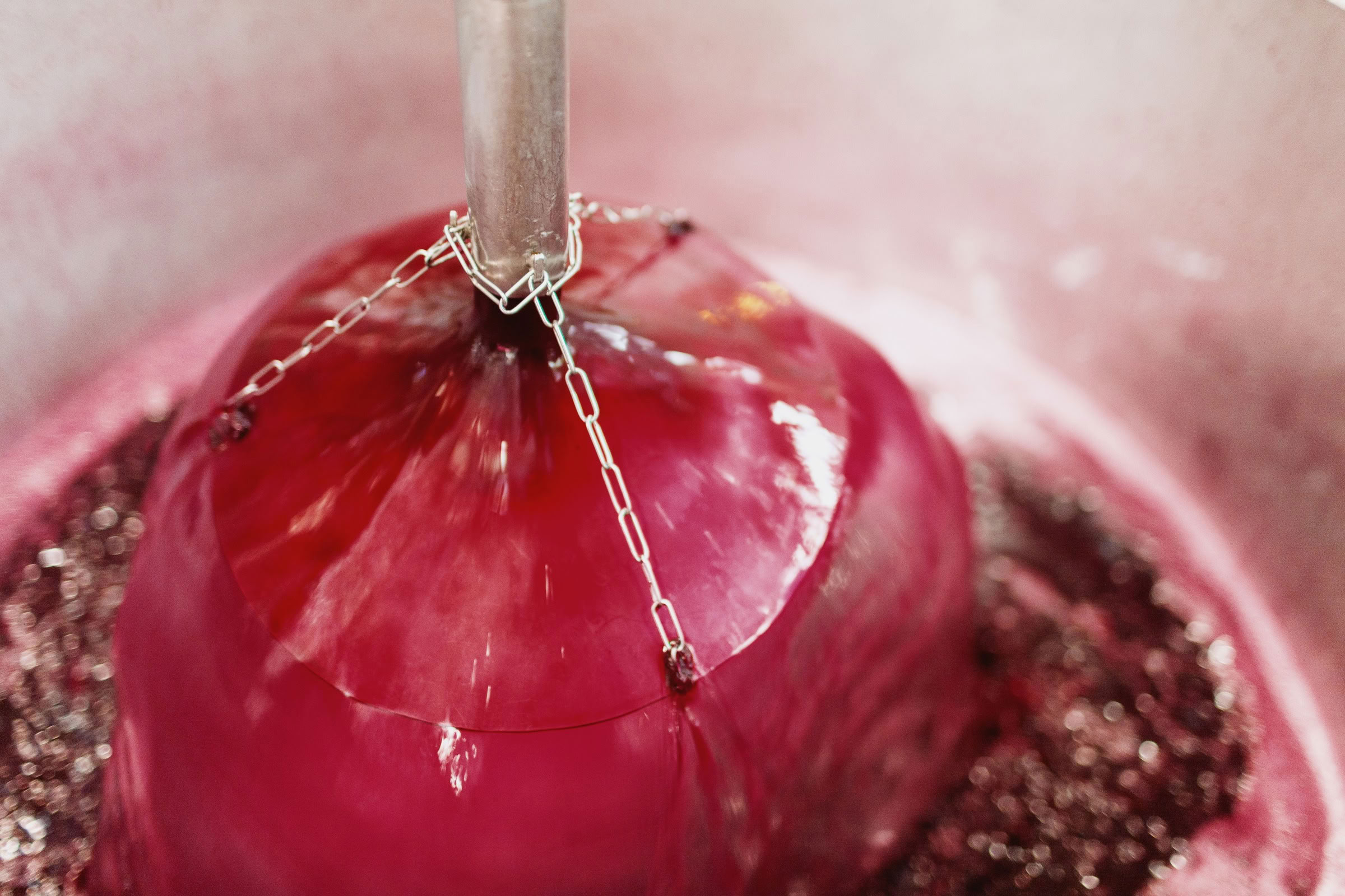 Wine estate photography: Chateau Lagune - Haut Medoc - Bordeaux. This photograph showcases Château La Lagune, a distinguished estate in the Haut-Médoc appellation of… - Image 6