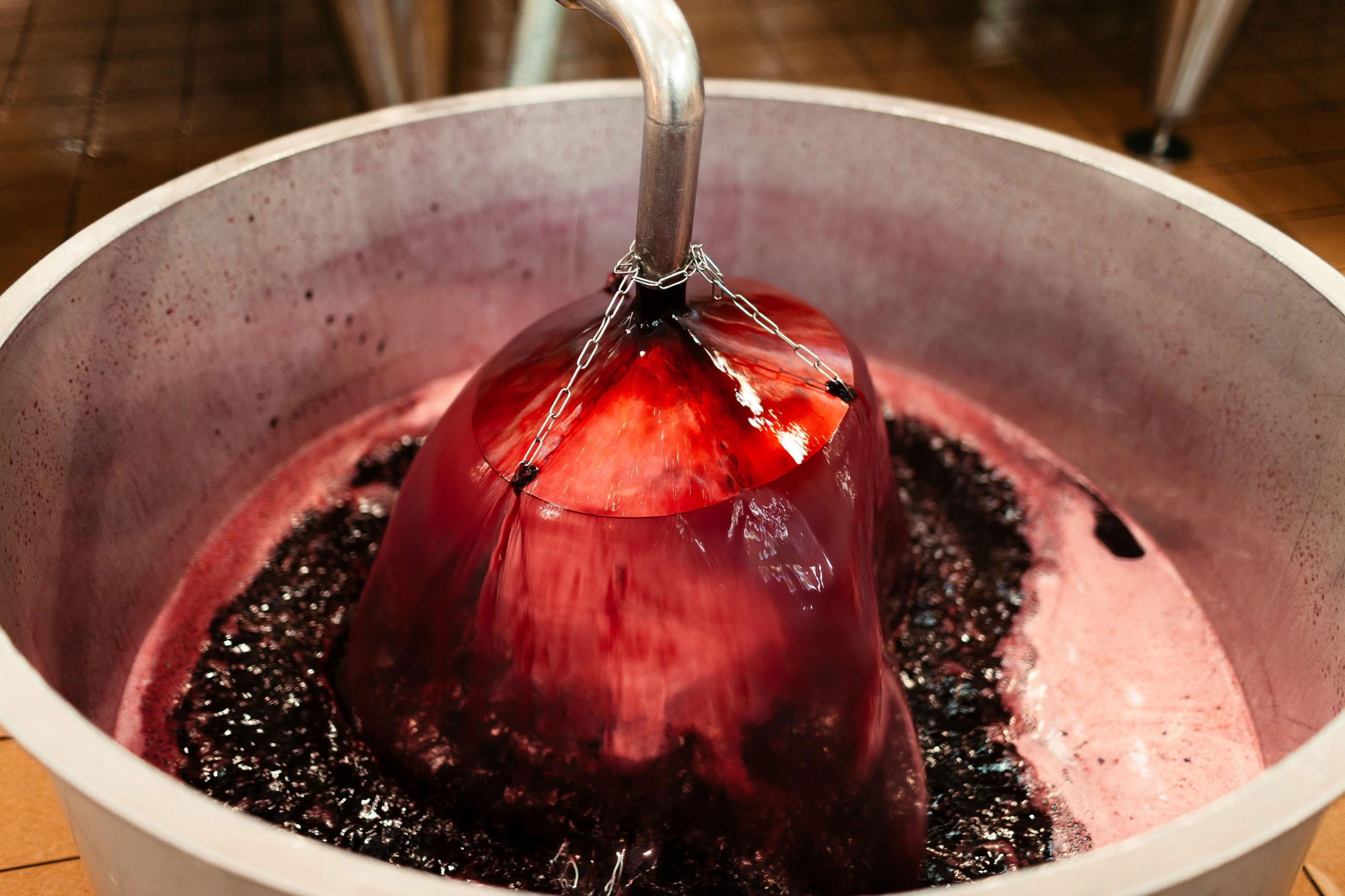 Wine estate photography: Chateau Lagune - Haut Medoc - Bordeaux. This photograph showcases Château La Lagune, a distinguished estate in the Haut-Médoc appellation of… - Image 7