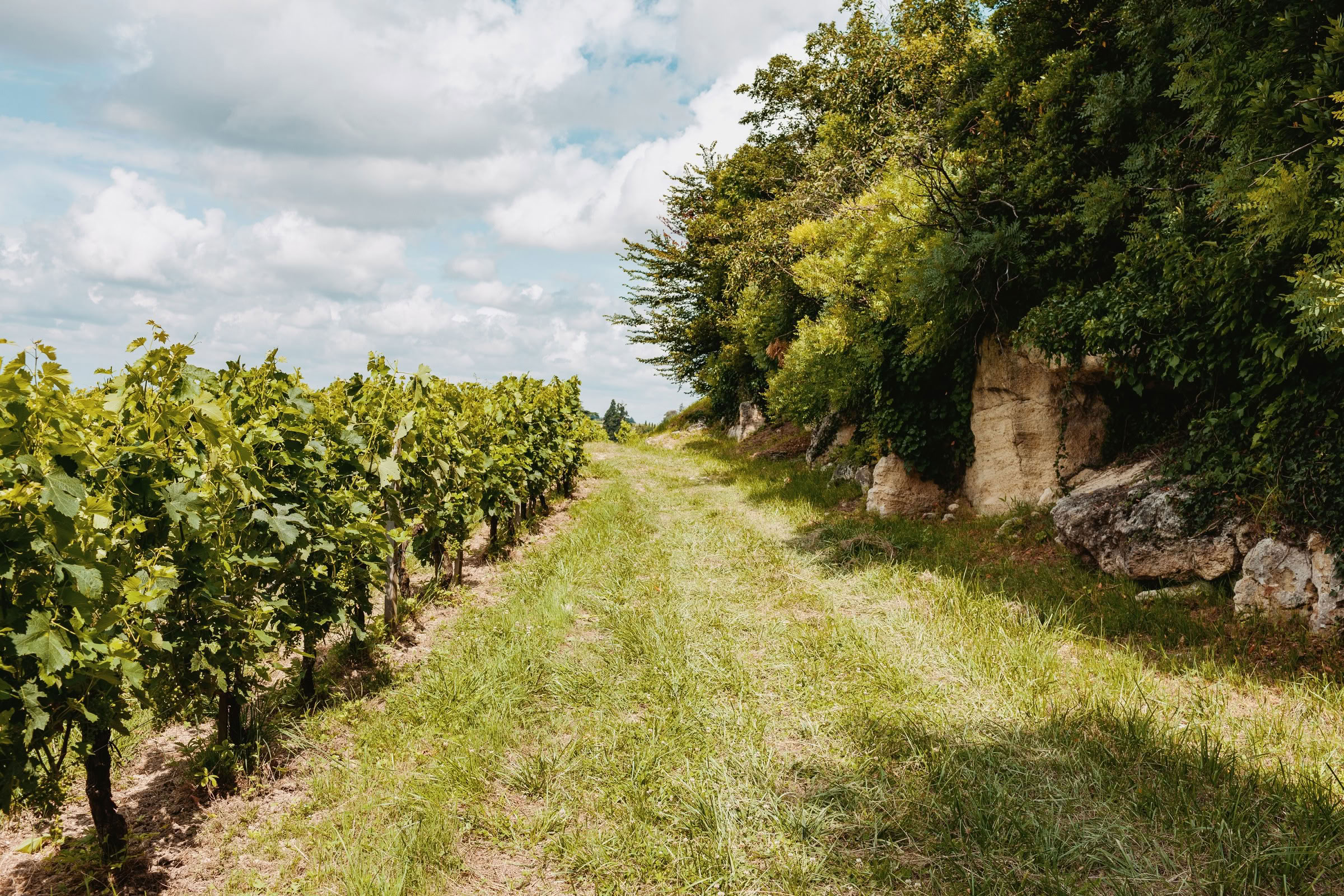 Wine estate photography: Chateau Larcis Ducasse - Saint-Emilion - Bordeaux. Château Larcis Ducasse, a Premier Grand Cru Classé estate in Saint-Emilion. The photograph showcases…