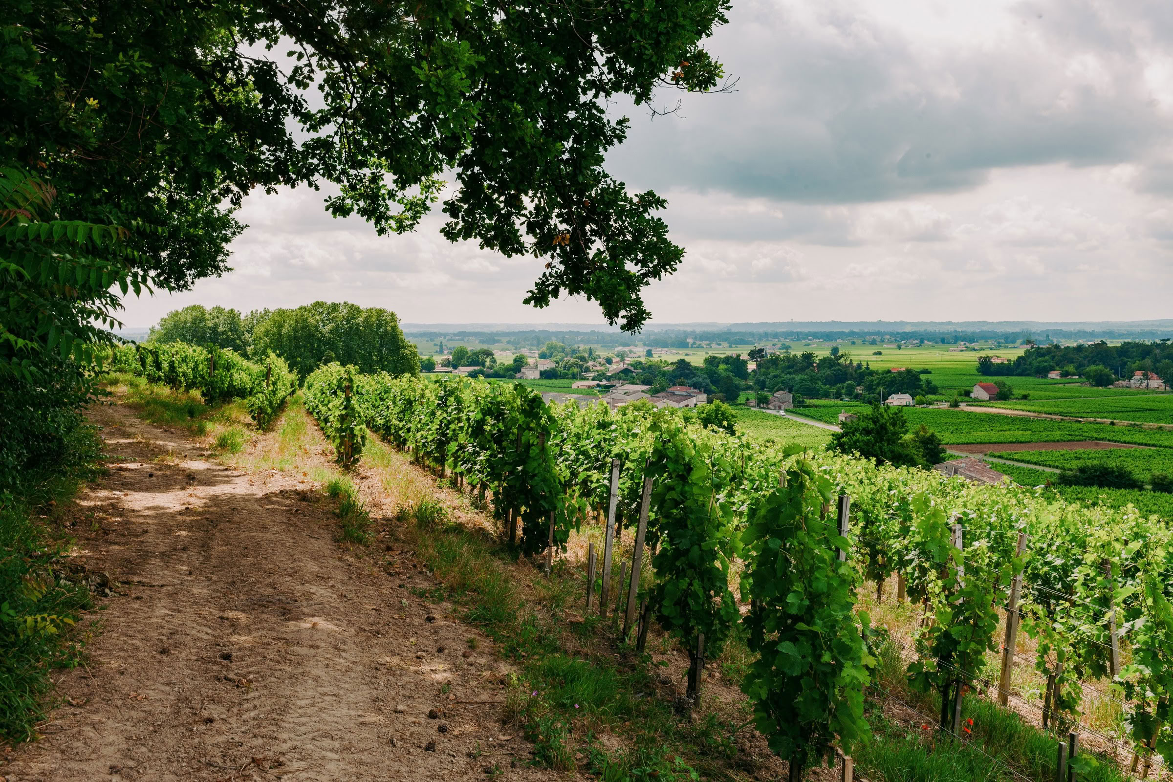 Wine estate photography: Chateau Larcis Ducasse - Saint-Emilion - Bordeaux. Château Larcis Ducasse, a Premier Grand Cru Classé estate in Saint-Emilion. The photograph showcases… - Image 4