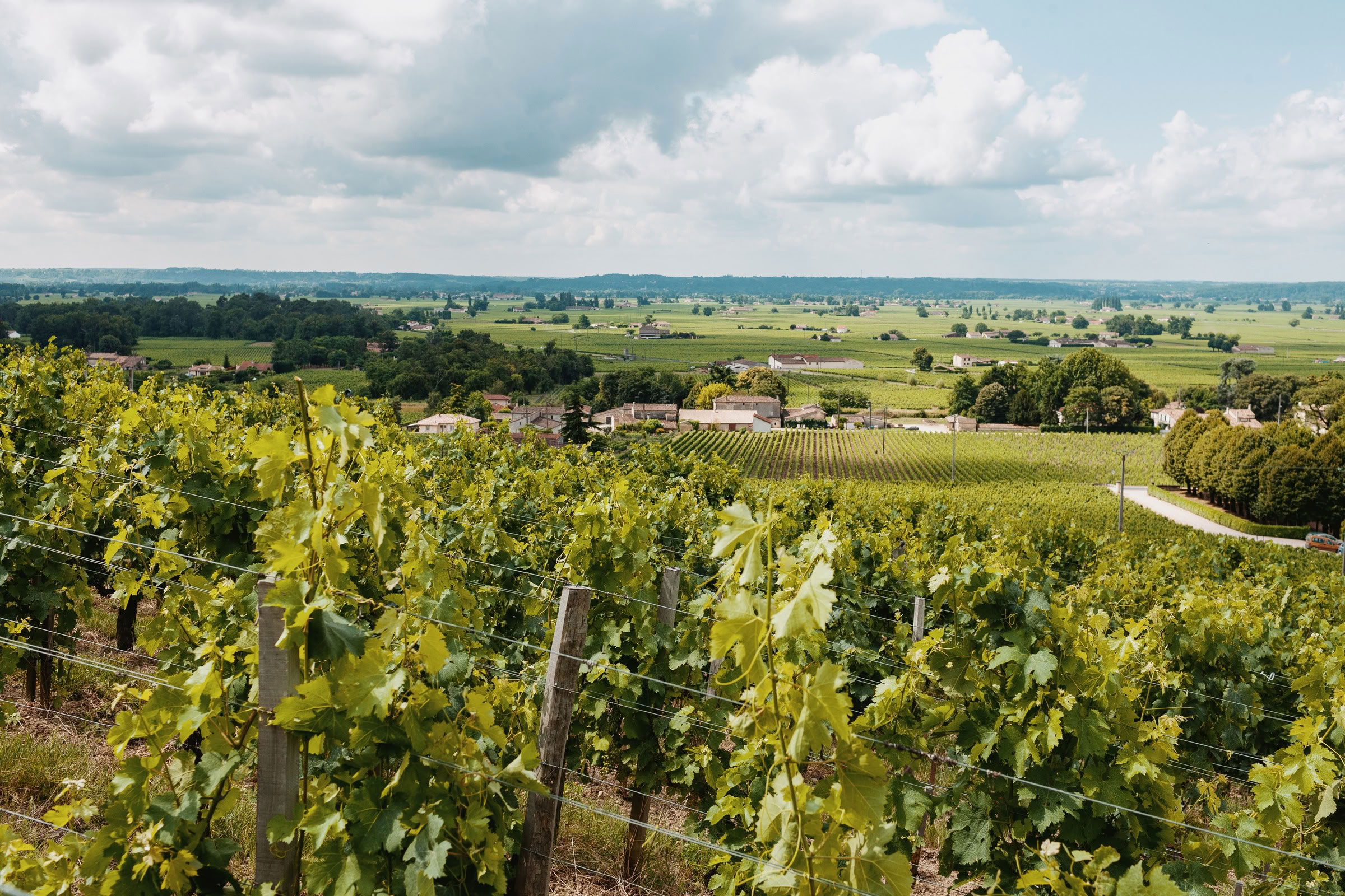 Wine estate photography: Chateau Larcis Ducasse - Saint-Emilion - Bordeaux. Château Larcis Ducasse, a Premier Grand Cru Classé estate in Saint-Emilion. The photograph showcases… - Image 13