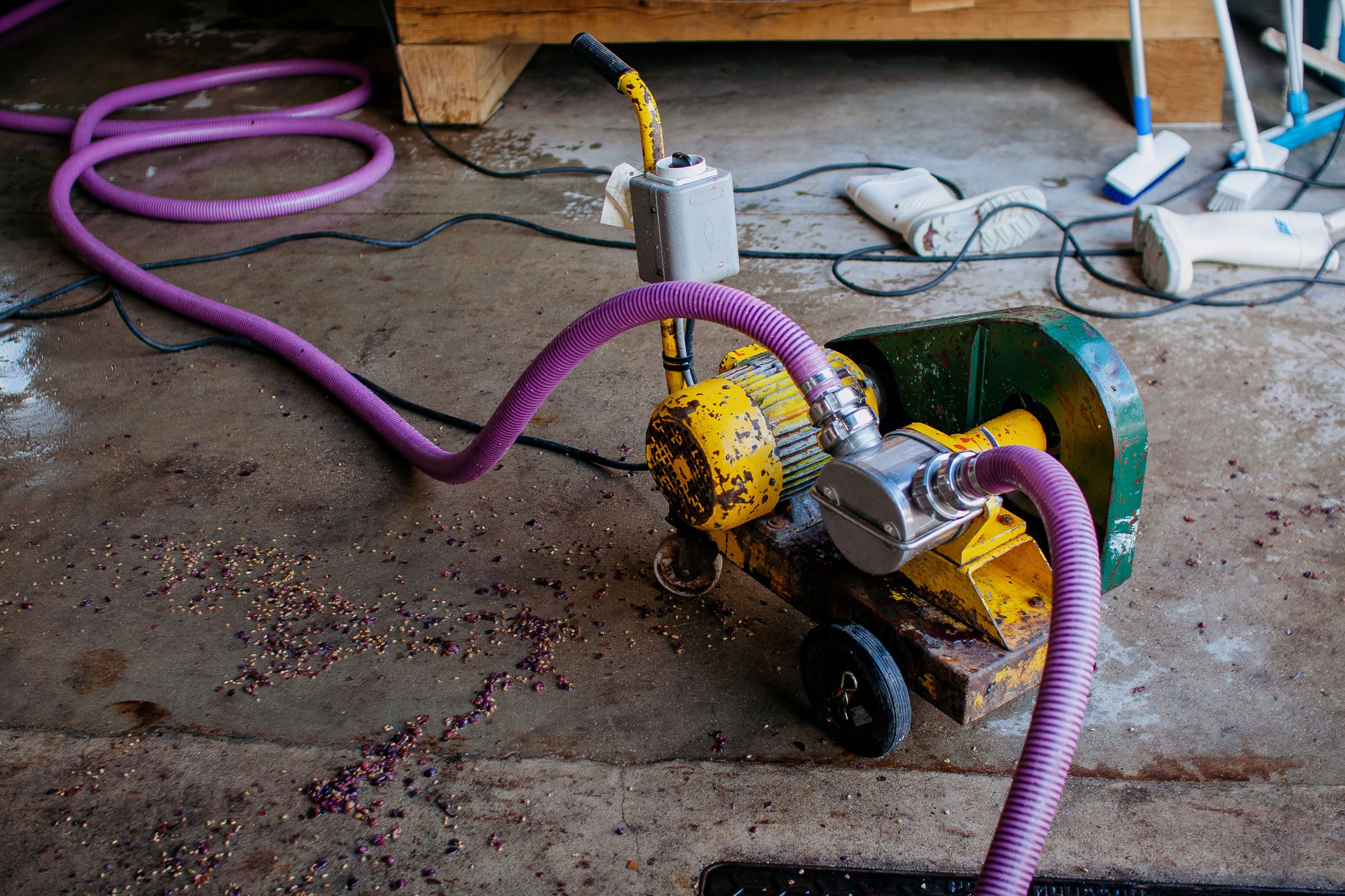 Wine estate photography: Domaine Jean Marc Brocard - Chablis - Bourgogne. Jean-Marc Brocard, a pioneer in organic and biodynamic viticulture in Chablis, has been committed to… - Image 12