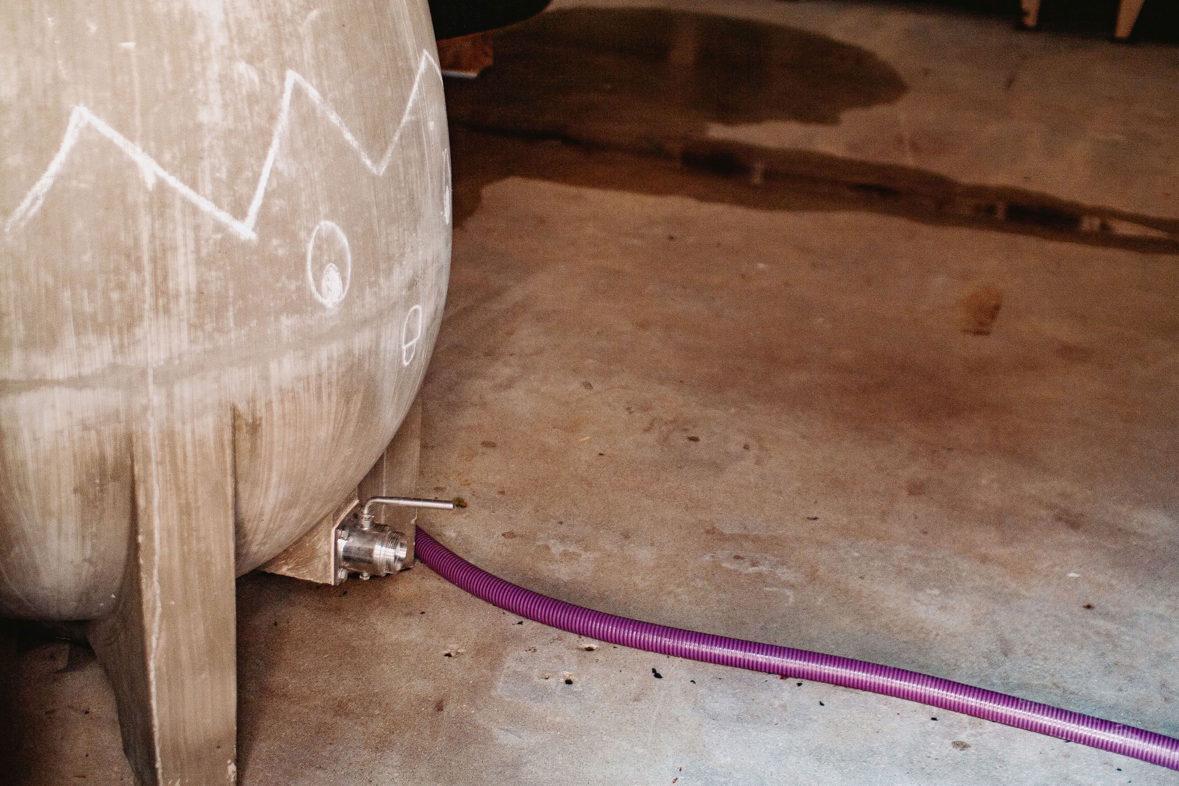 Wine estate photography: Domaine Jean Marc Brocard - Chablis - Bourgogne. Jean-Marc Brocard, a pioneer in organic and biodynamic viticulture in Chablis, has been committed to… - Image 14