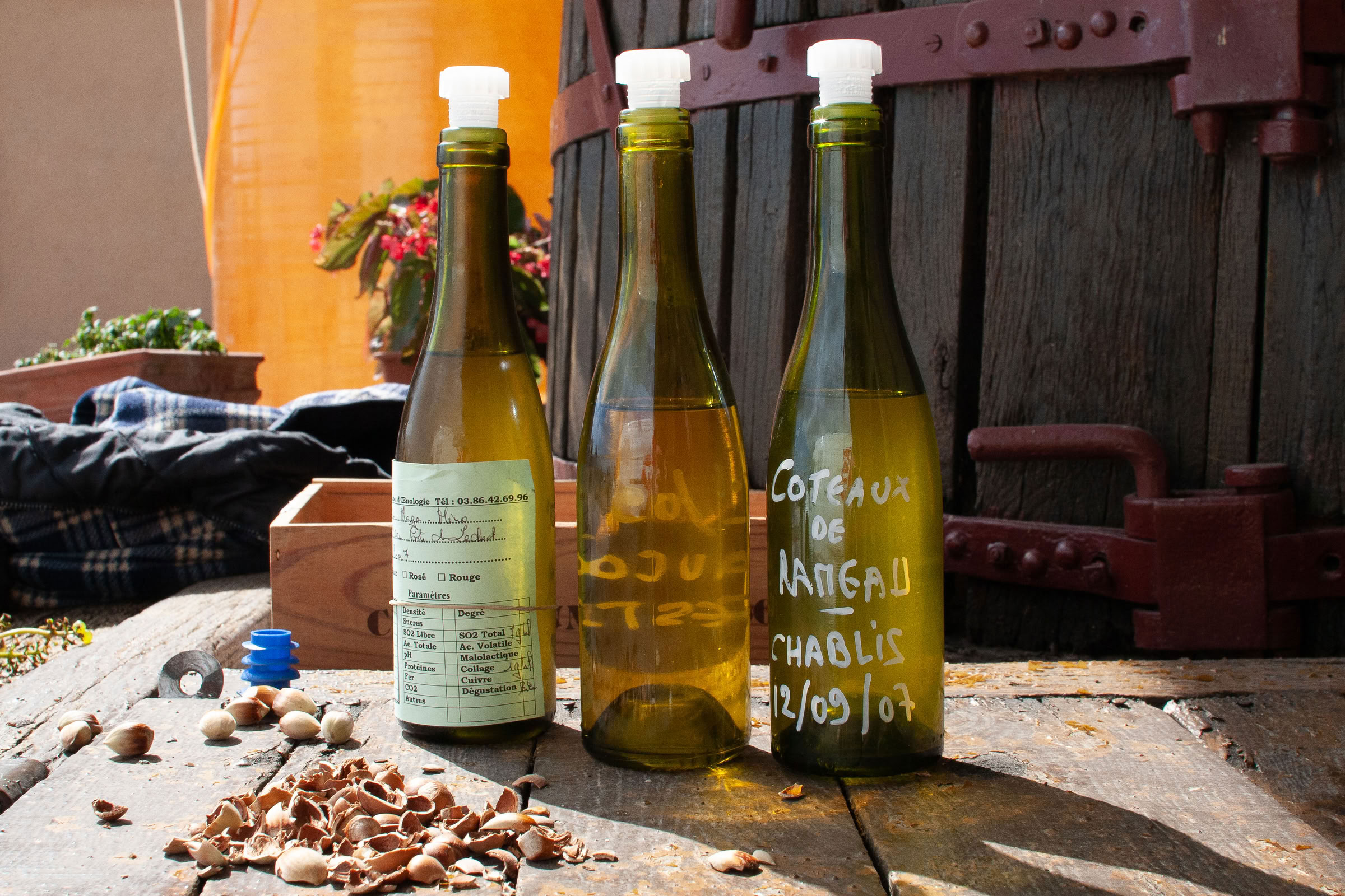 Wine estate photography: Domaine Jean Marc Brocard - Chablis - Bourgogne. Jean-Marc Brocard, a pioneer in organic and biodynamic viticulture in Chablis, has been committed to… - Image 17