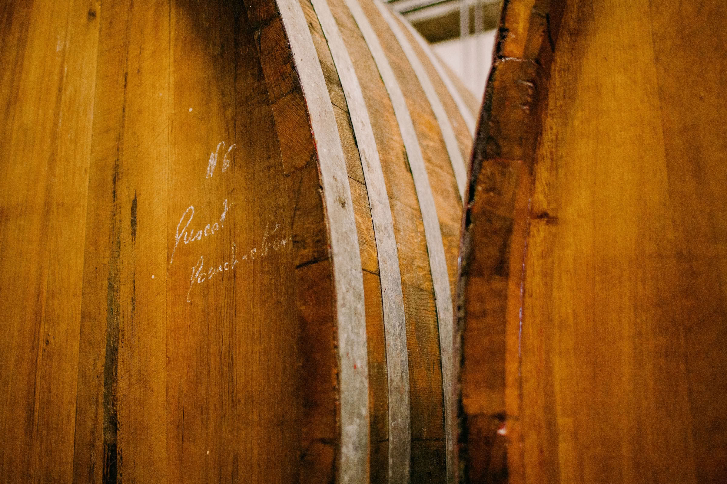 Wine estate photography: Domaine Rolly Gassmann - Rorschwihr - Alsace. Le Domaine Rolly Gassmann, situé à Rorschwihr en Alsace, est une propriété viticole familiale… - Image 1