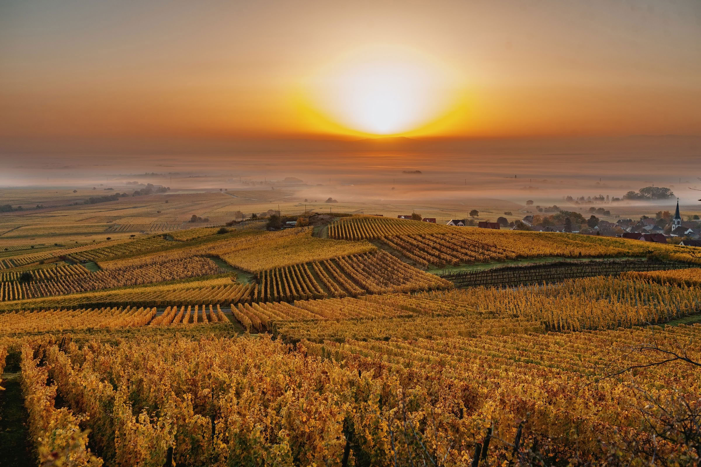 Wine estate photography: Domaine Rolly Gassmann - Rorschwihr - Alsace. Le Domaine Rolly Gassmann, situé à Rorschwihr en Alsace, est une propriété viticole familiale… - Image 2