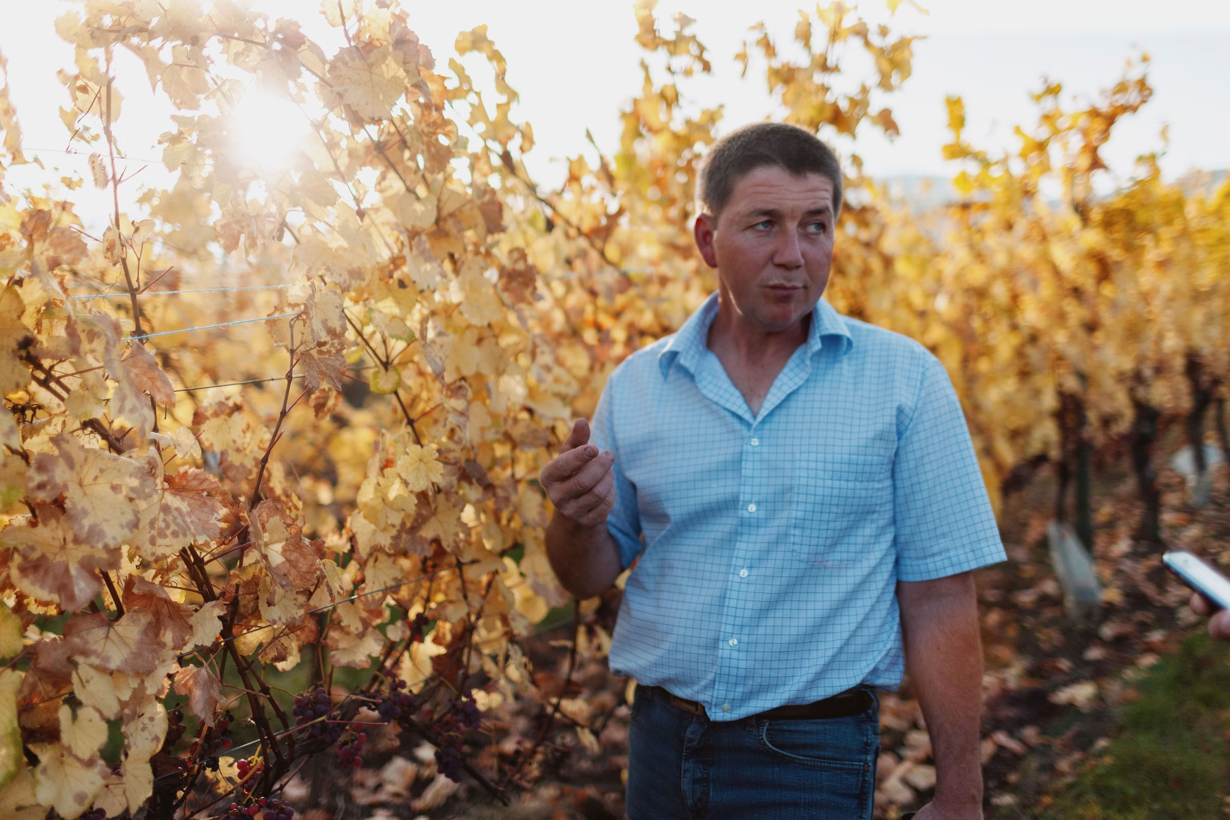 Wine estate photography: Domaine Rolly Gassmann - Rorschwihr - Alsace. Le Domaine Rolly Gassmann, situé à Rorschwihr en Alsace, est une propriété viticole familiale… - Image 6