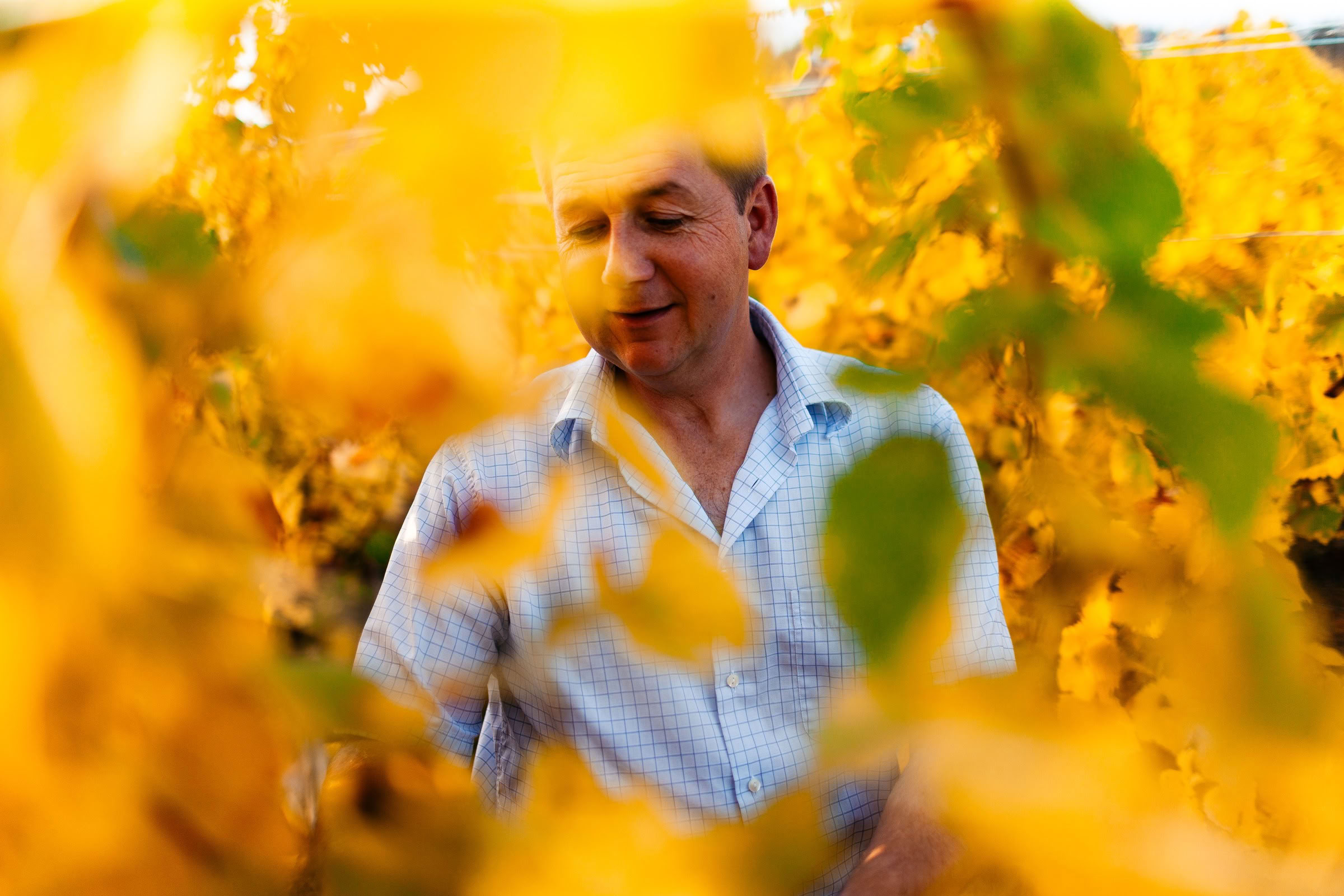 Wine estate photography: Domaine Rolly Gassmann - Rorschwihr - Alsace. Le Domaine Rolly Gassmann, situé à Rorschwihr en Alsace, est une propriété viticole familiale… - Image 7