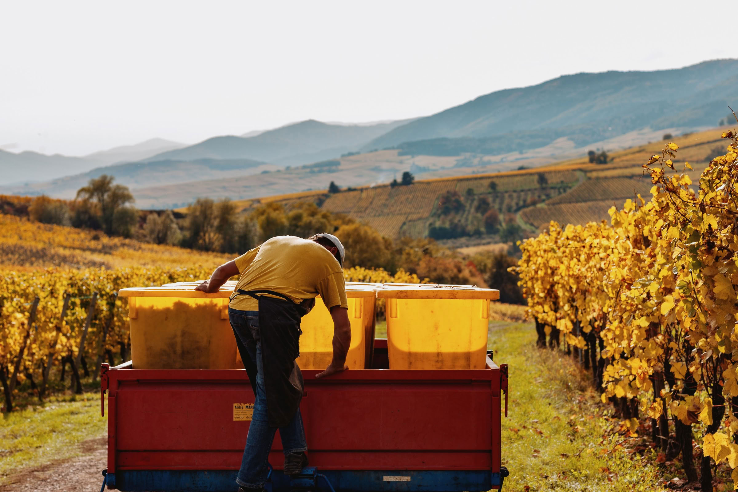 Wine estate photography: Domaine Rolly Gassmann - Rorschwihr - Alsace. Le Domaine Rolly Gassmann, situé à Rorschwihr en Alsace, est une propriété viticole familiale… - Image 10