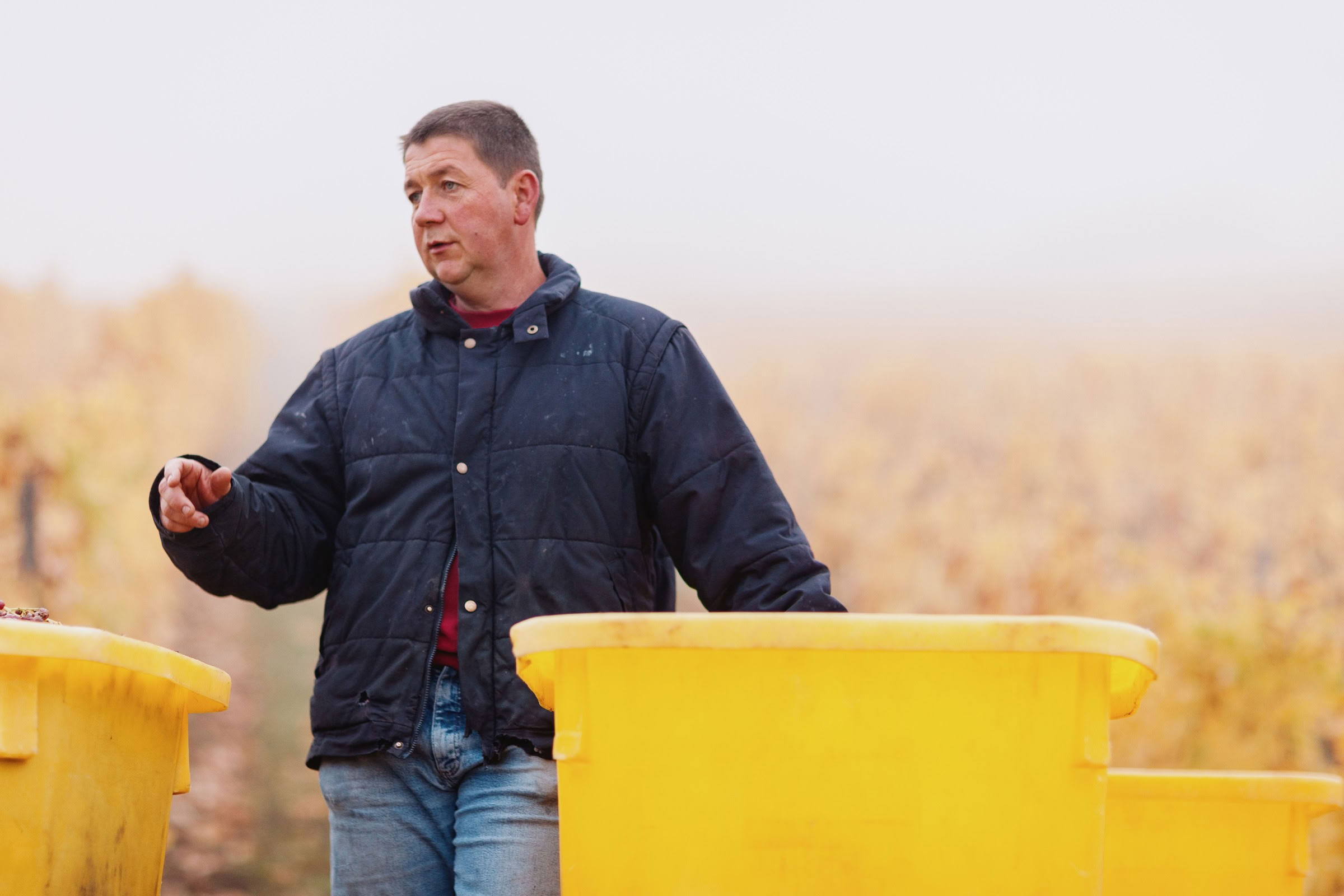 Wine estate photography: Domaine Rolly Gassmann - Rorschwihr - Alsace. Le Domaine Rolly Gassmann, situé à Rorschwihr en Alsace, est une propriété viticole familiale… - Image 20