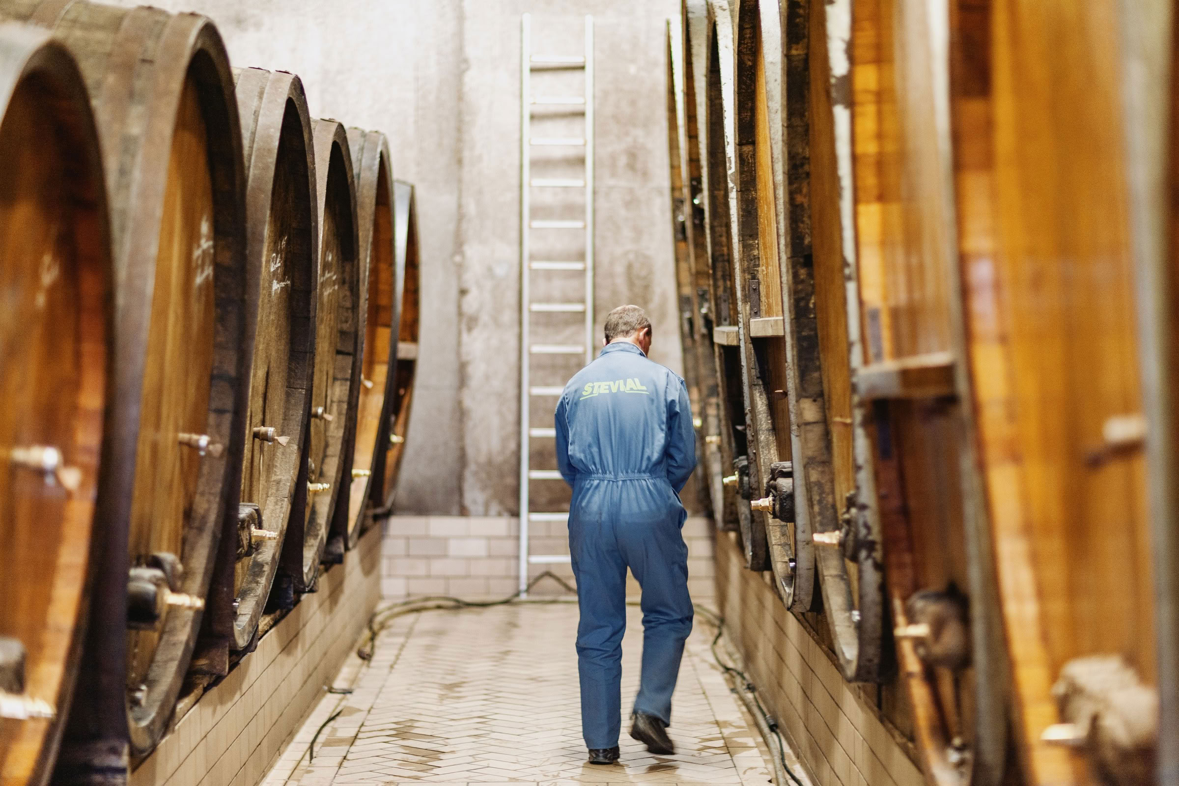 Wine estate photography: Domaine Rolly Gassmann - Rorschwihr - Alsace. Le Domaine Rolly Gassmann, situé à Rorschwihr en Alsace, est une propriété viticole familiale… - Image 22