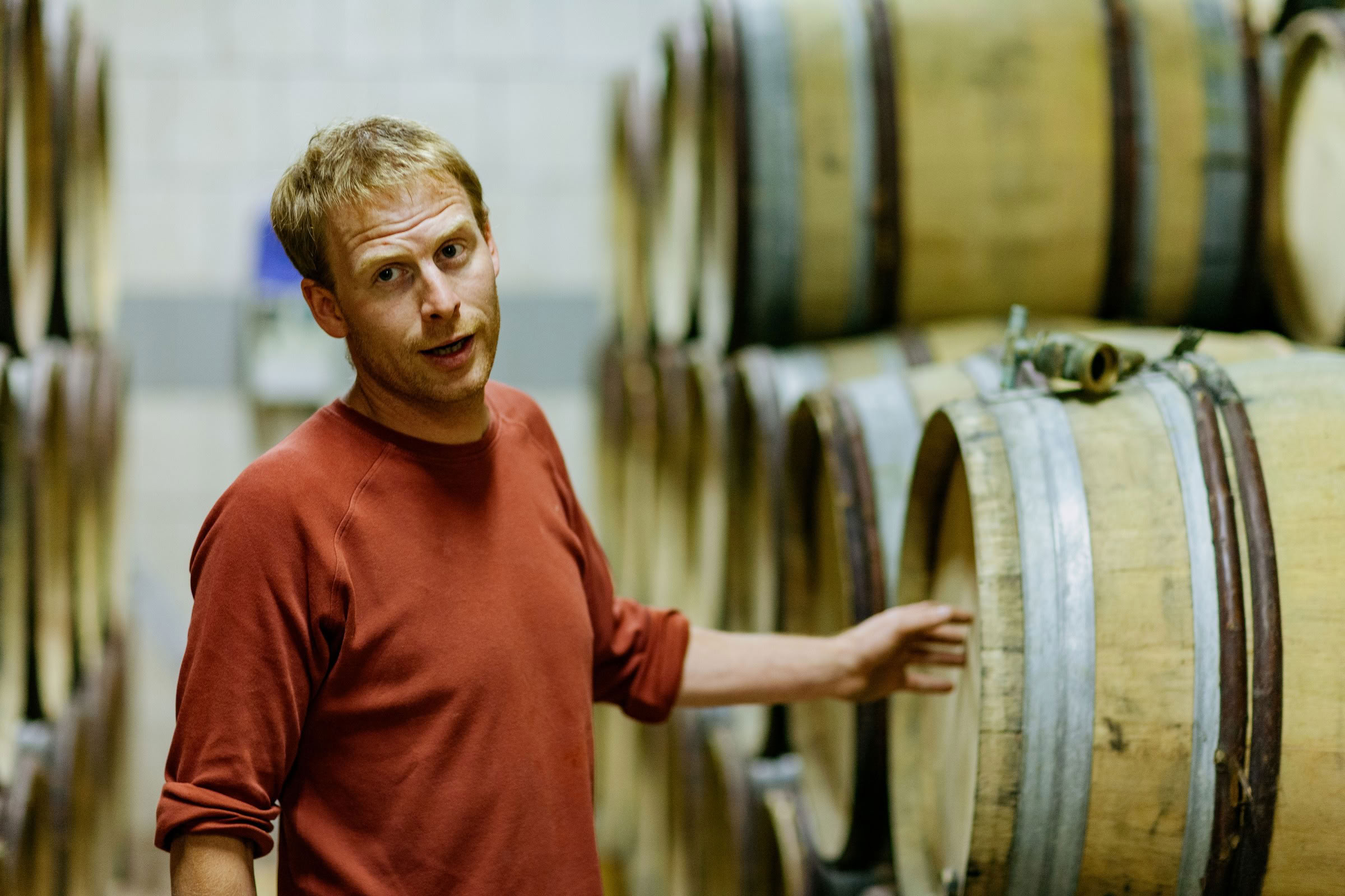 Wine estate photography: Patrick Piuze - Chablis - Bourgogne. Patrick Piuze, a dynamic Québécois vintner, has carved a niche for himself in Chablis since 2000… - Image 8