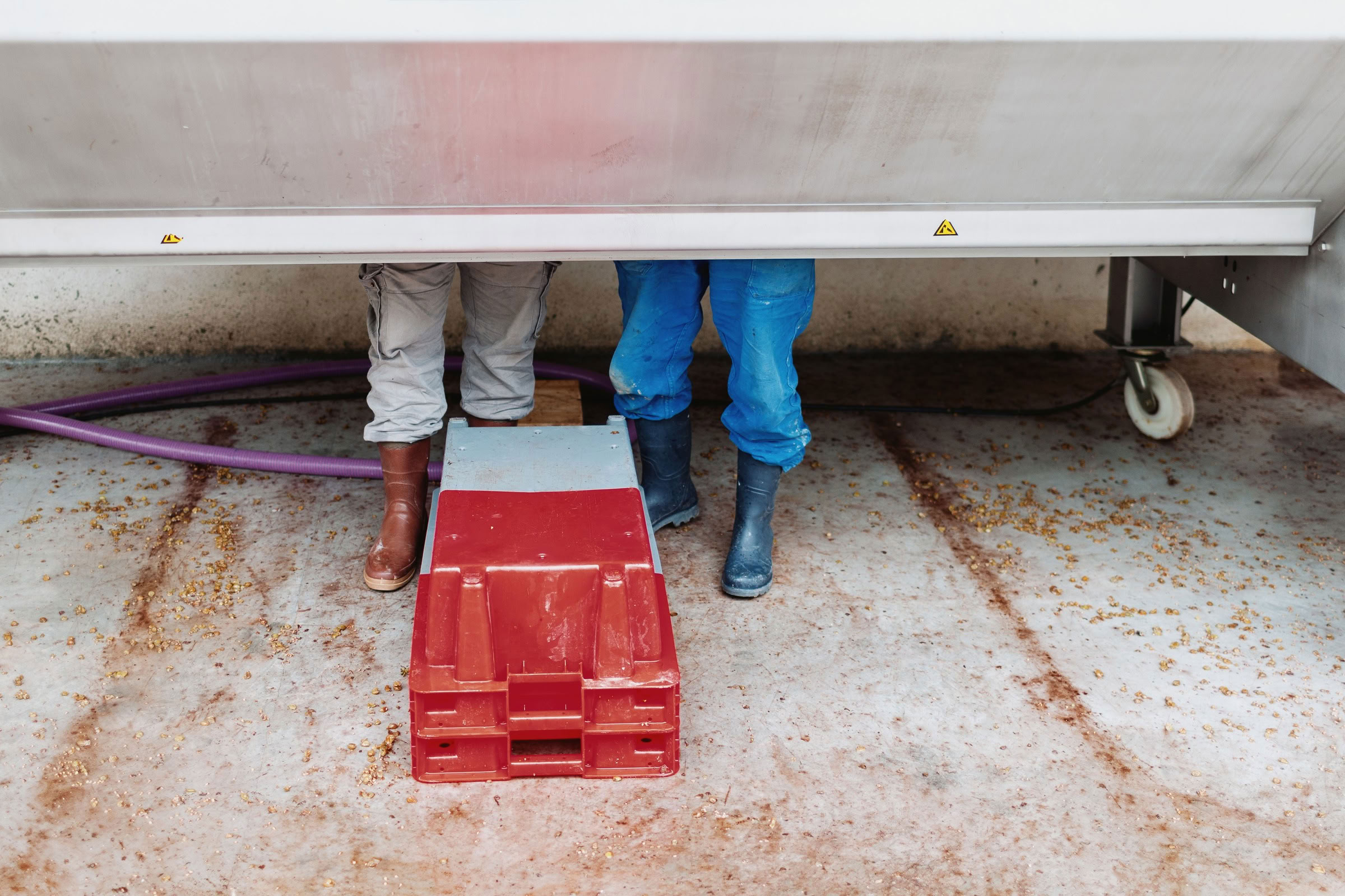 Wine estate photography: Patrick Piuze - Chablis - Bourgogne. Patrick Piuze, a dynamic Québécois vintner, has carved a niche for himself in Chablis since 2000… - Image 10