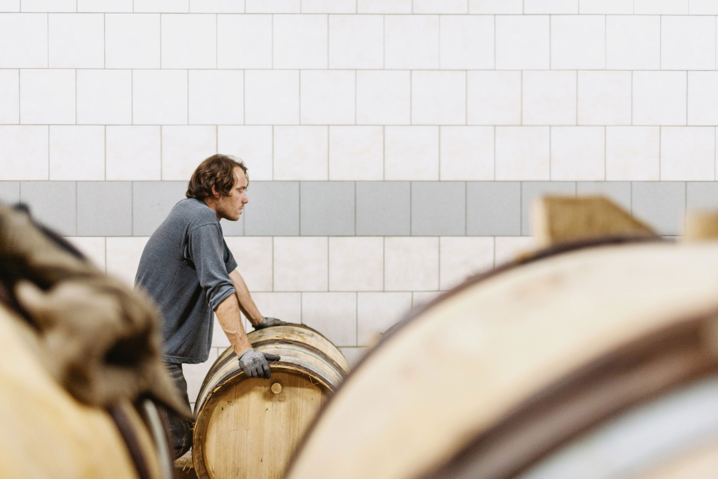 Wine estate photography: Patrick Piuze - Chablis - Bourgogne. Patrick Piuze, a dynamic Québécois vintner, has carved a niche for himself in Chablis since 2000… - Image 11