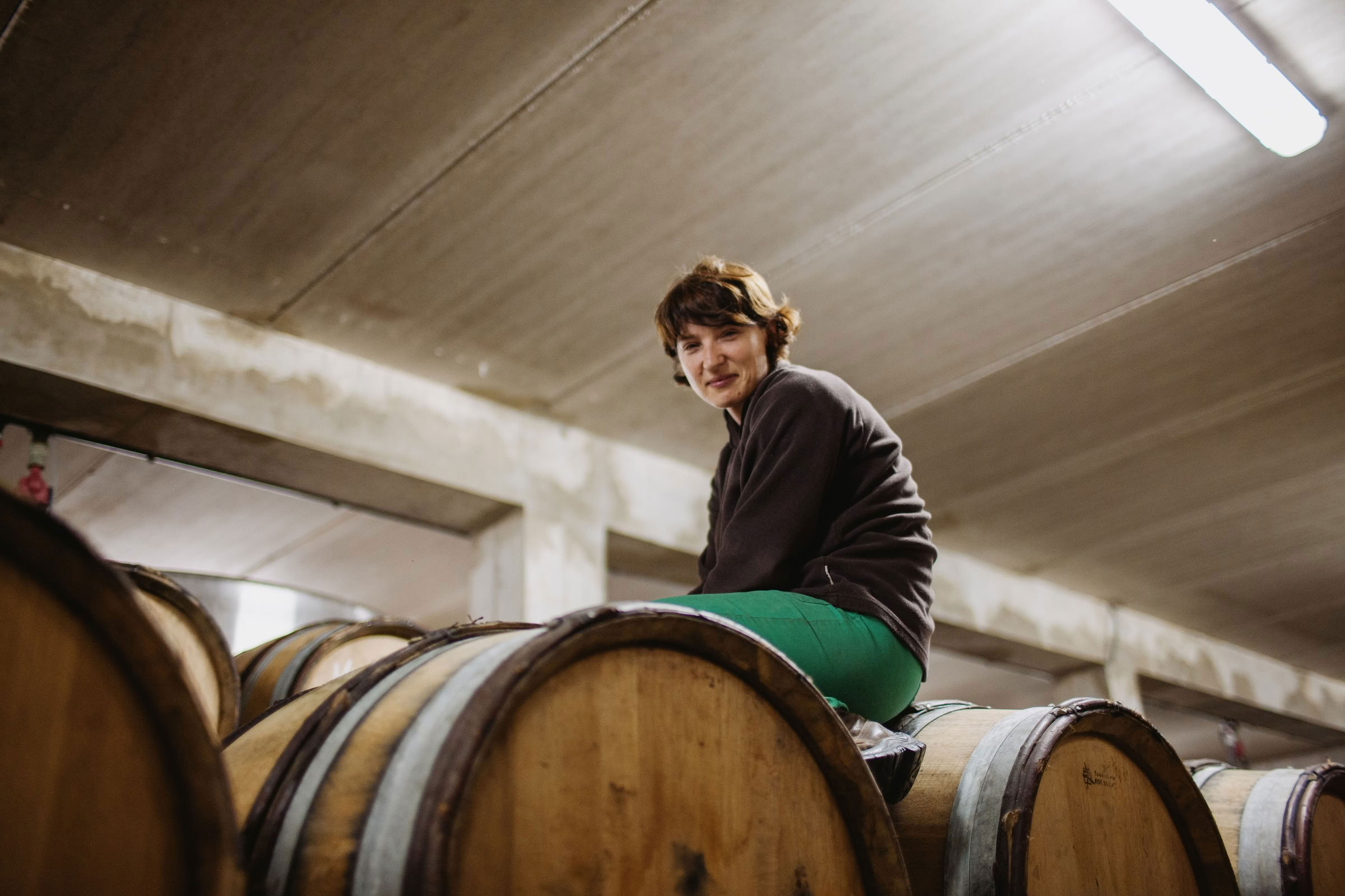 Wine estate photography: Patrick Piuze - Chablis - Bourgogne. Patrick Piuze, a dynamic Québécois vintner, has carved a niche for himself in Chablis since 2000… - Image 15