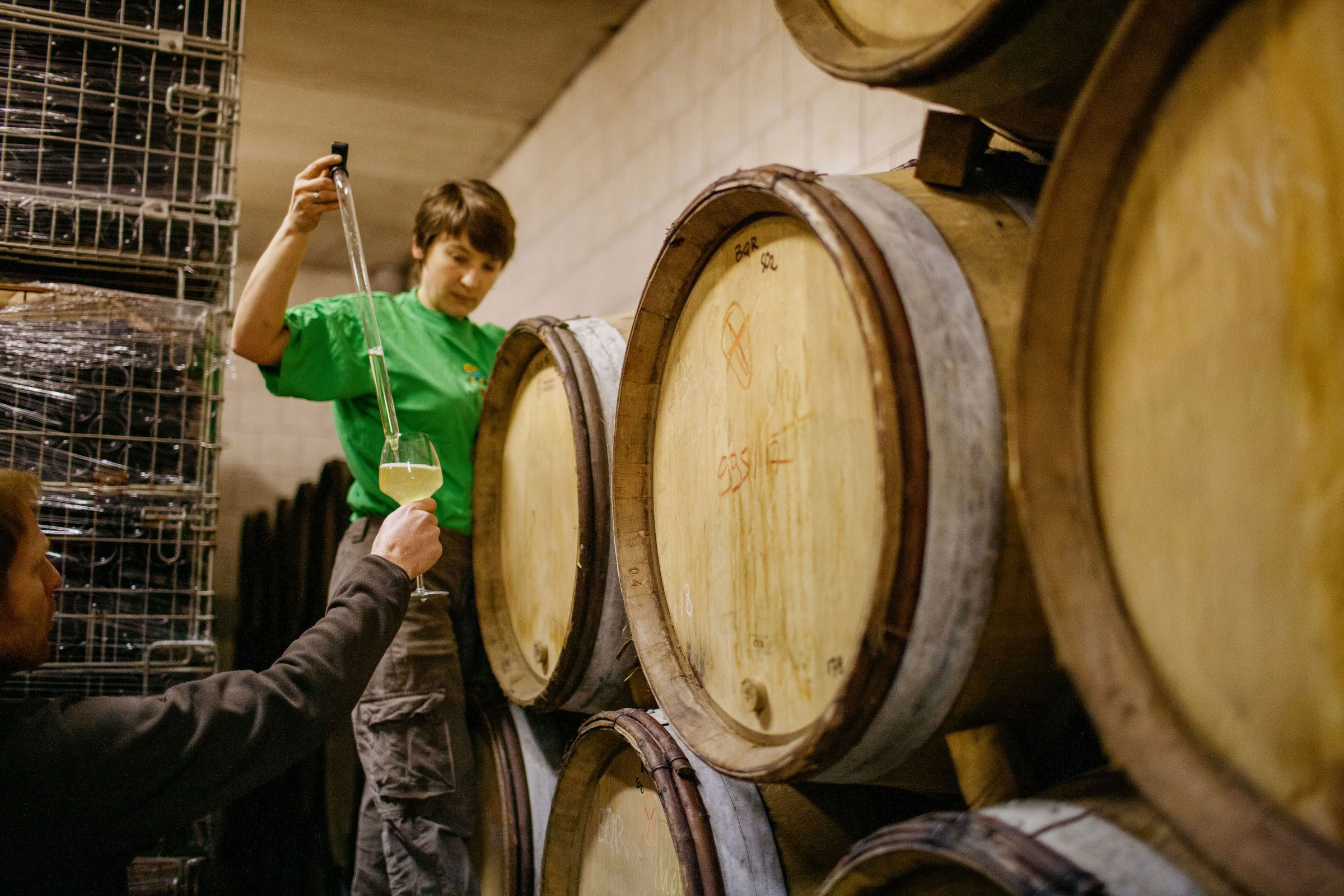 Wine estate photography: Patrick Piuze - Chablis - Bourgogne. Patrick Piuze, a dynamic Québécois vintner, has carved a niche for himself in Chablis since 2000… - Image 16