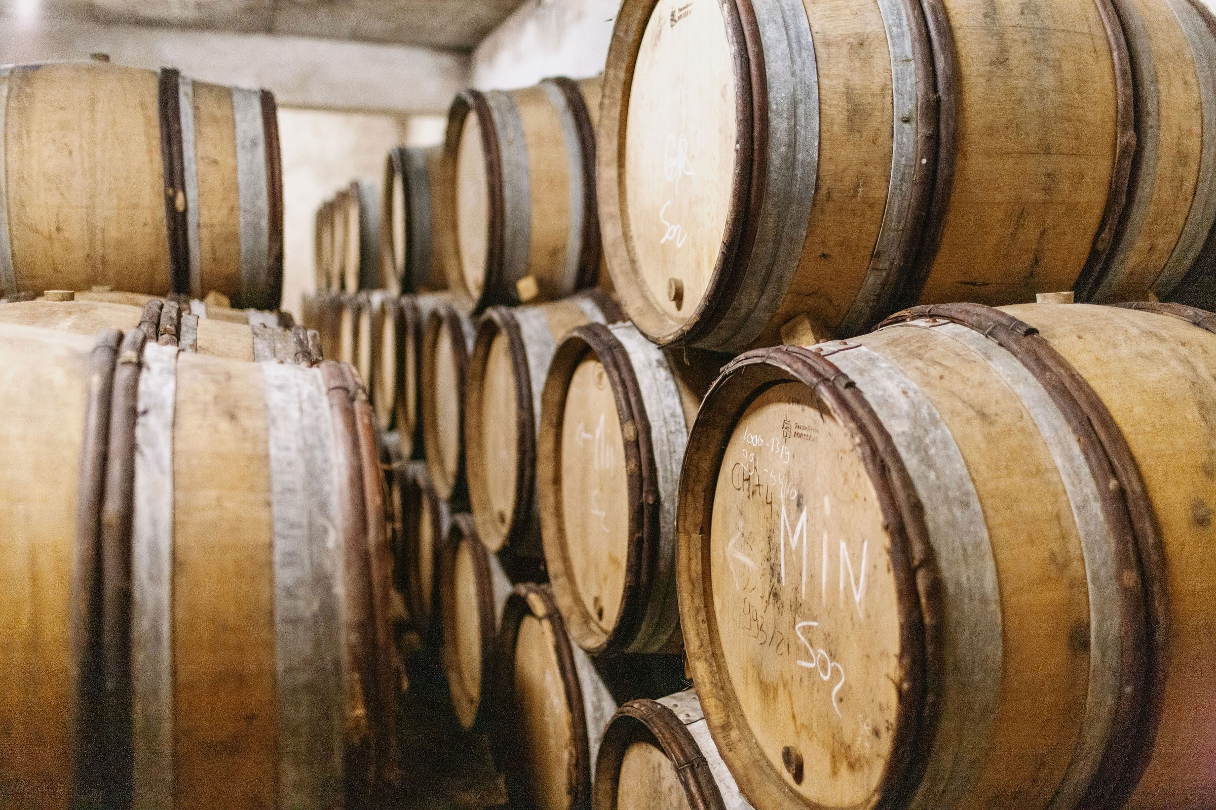 Wine estate photography: Patrick Piuze - Chablis - Bourgogne. Patrick Piuze, a dynamic Québécois vintner, has carved a niche for himself in Chablis since 2000… - Image 21