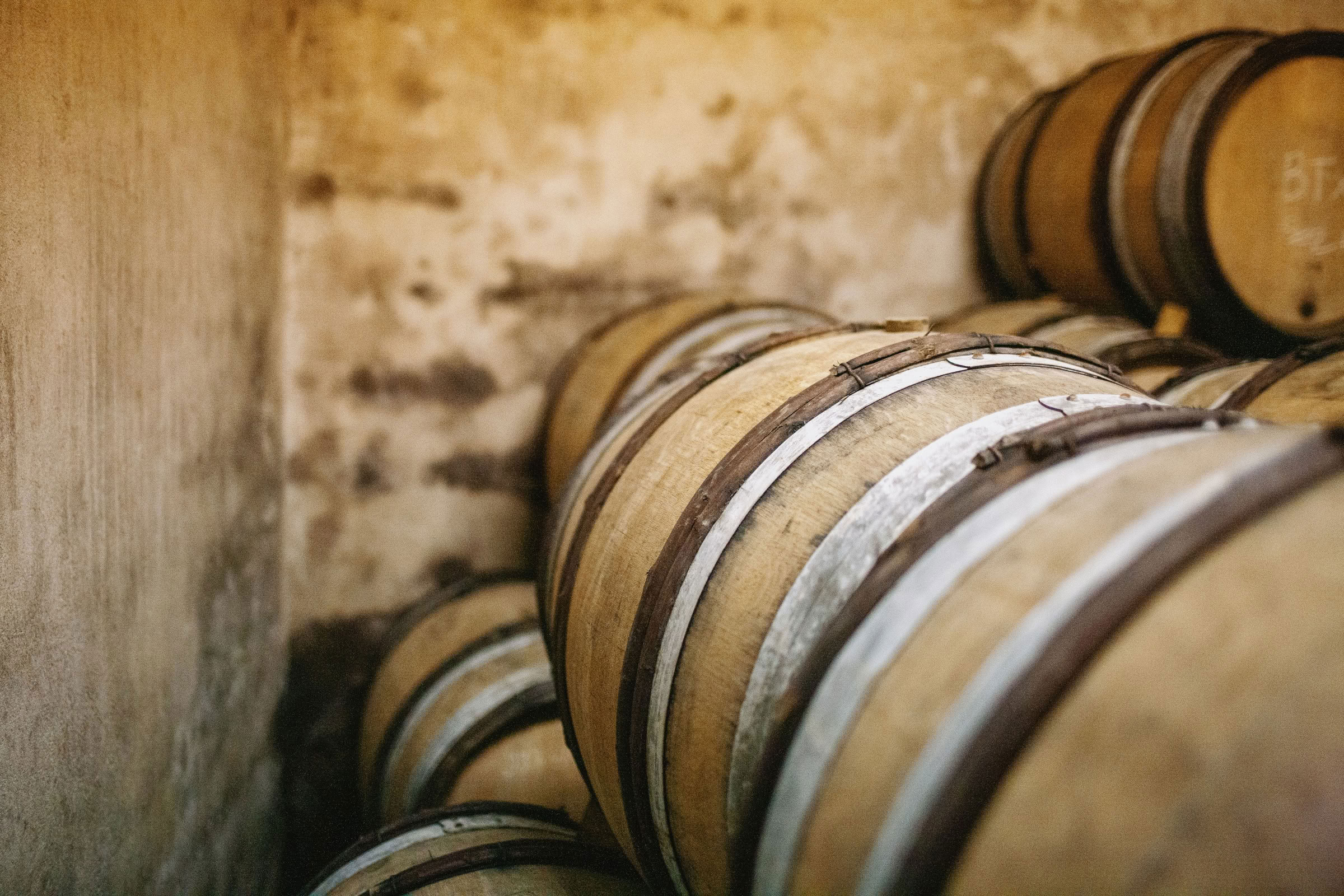 Wine estate photography: Patrick Piuze - Chablis - Bourgogne. Patrick Piuze, a dynamic Québécois vintner, has carved a niche for himself in Chablis since 2000… - Image 22