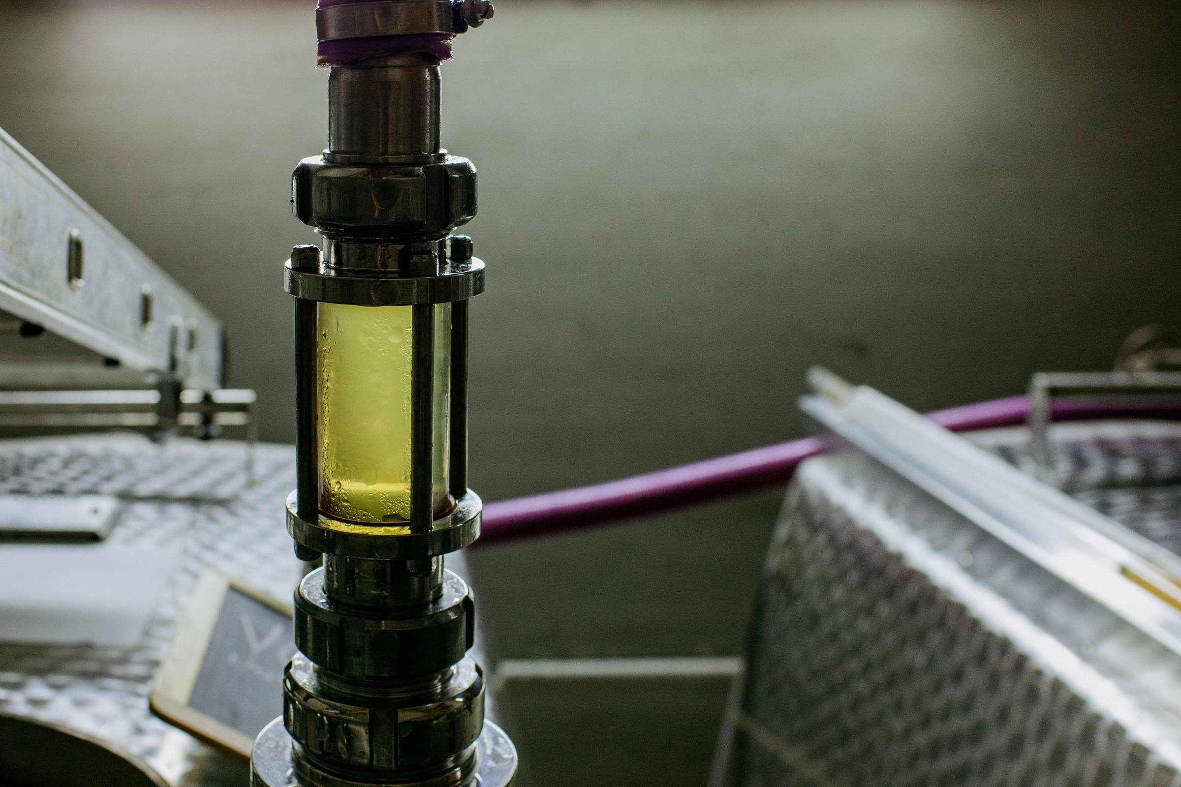 Wine estate photography: Patrick Piuze - Chablis - Bourgogne. Patrick Piuze, a dynamic Québécois vintner, has carved a niche for himself in Chablis since 2000… - Image 28