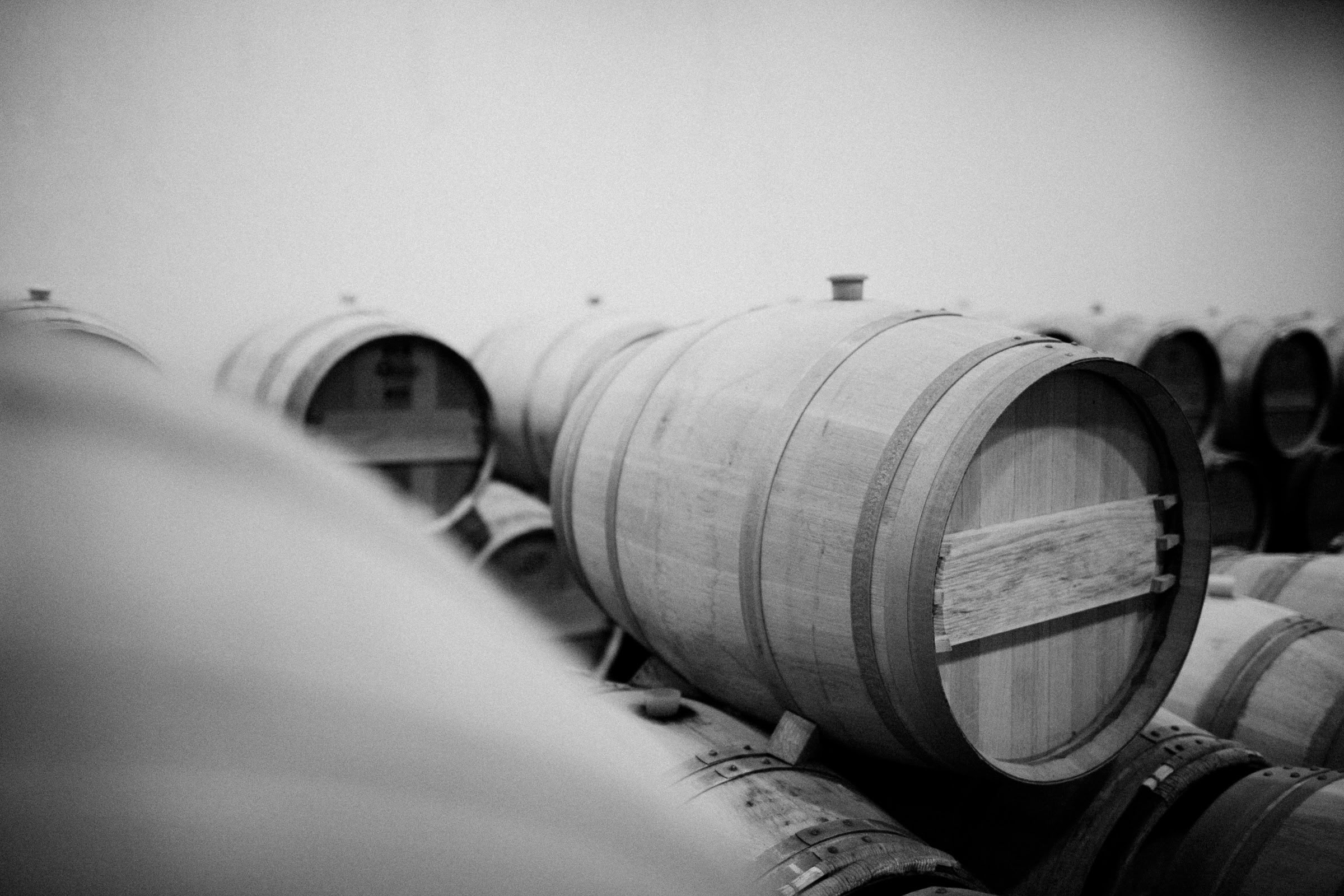 Wine estate photography: Saint Emilion - Bordeaux  - 2008. Saint Emilion represents the unique characteristics of a region's land affecting its produce. It… - Image 15