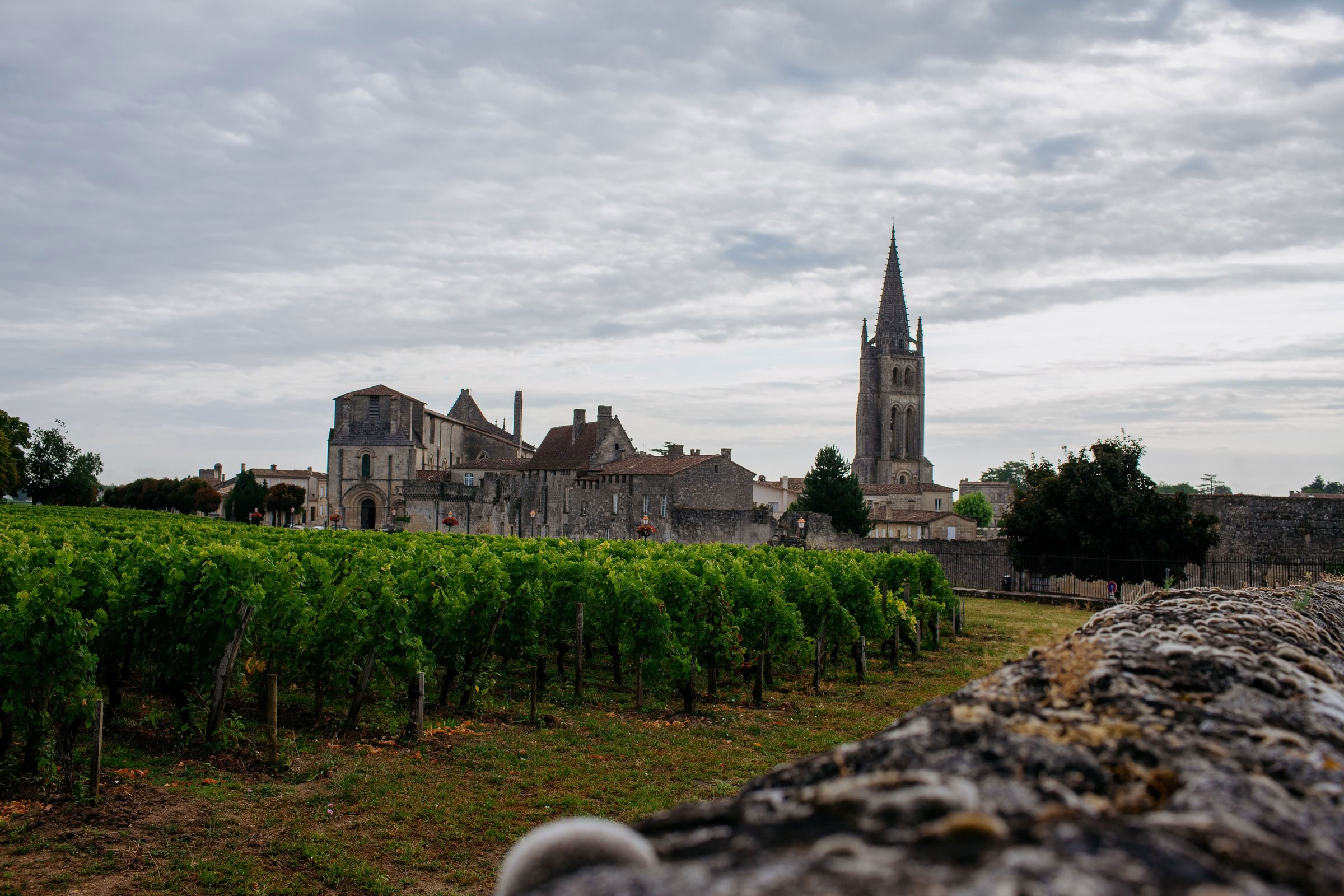 Wine estate photography: Saint Emilion - Bordeaux  - 2008. Saint Emilion represents the unique characteristics of a region's land affecting its produce. It… - Image 23