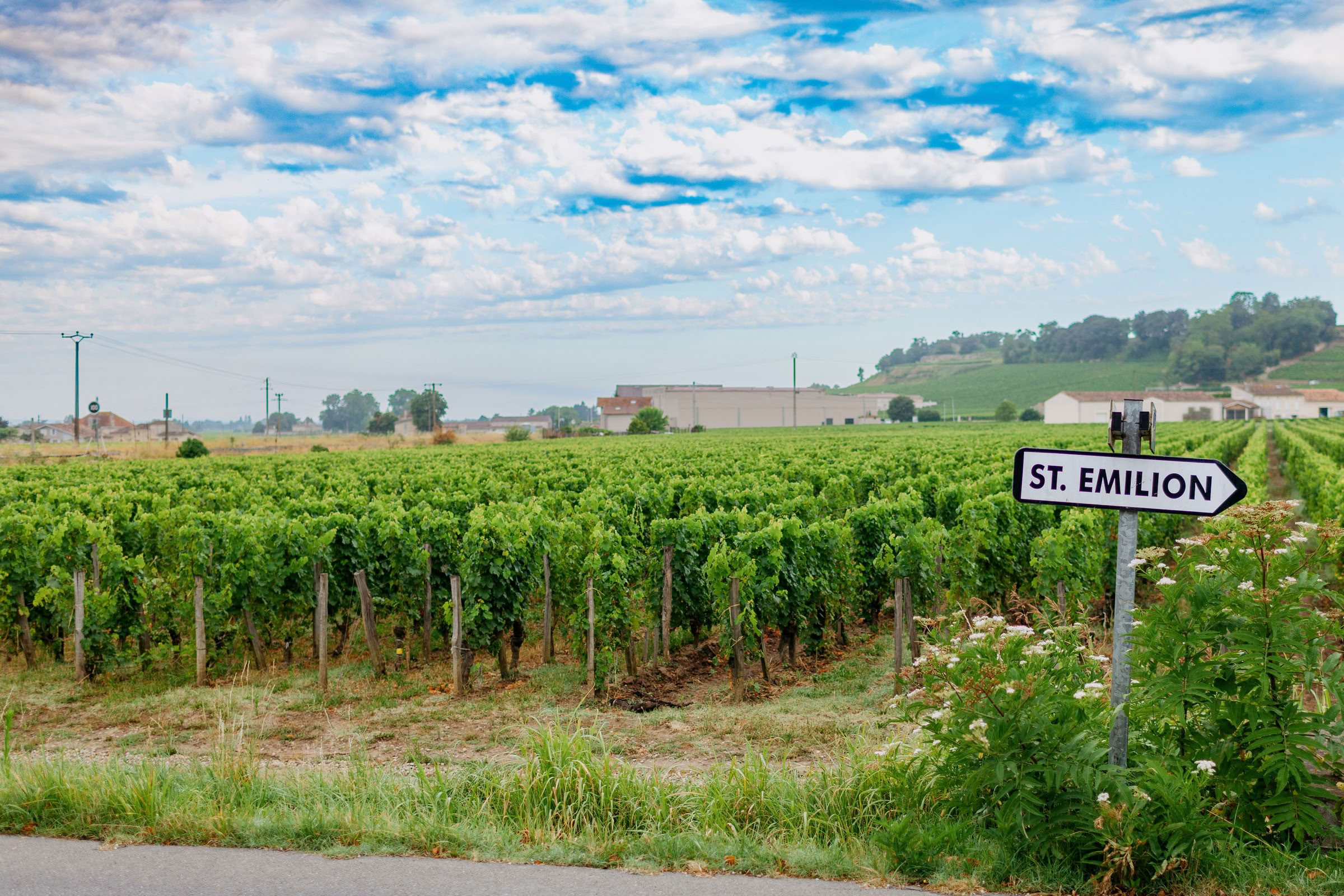 Wine estate photography: Saint Emilion - Bordeaux  - 2008. Saint Emilion represents the unique characteristics of a region's land affecting its produce. It… - Image 24