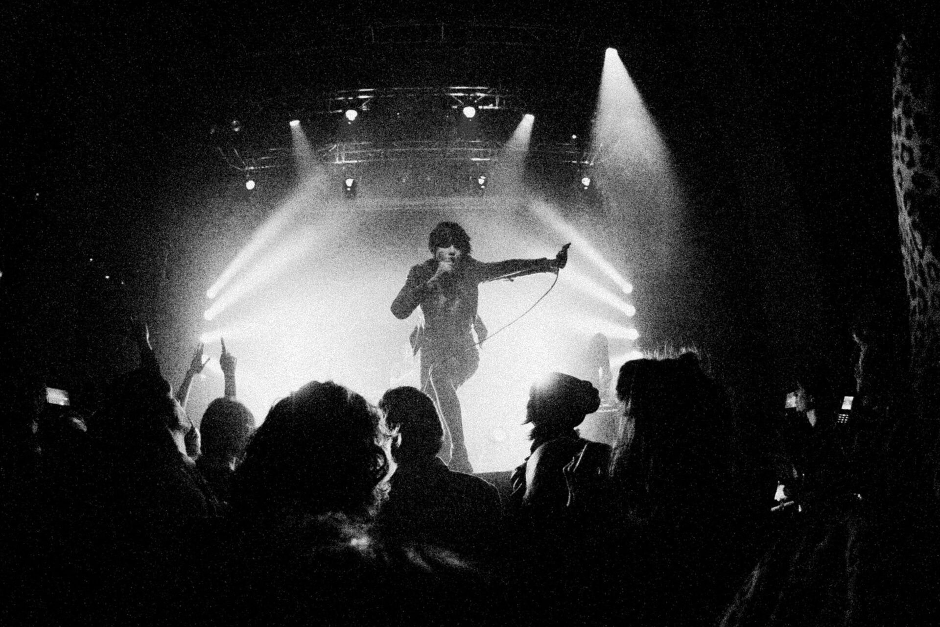 Concert photography — of Crystal Castle — at Le Grand Mix - Tourcoing — (2008) - Image 2