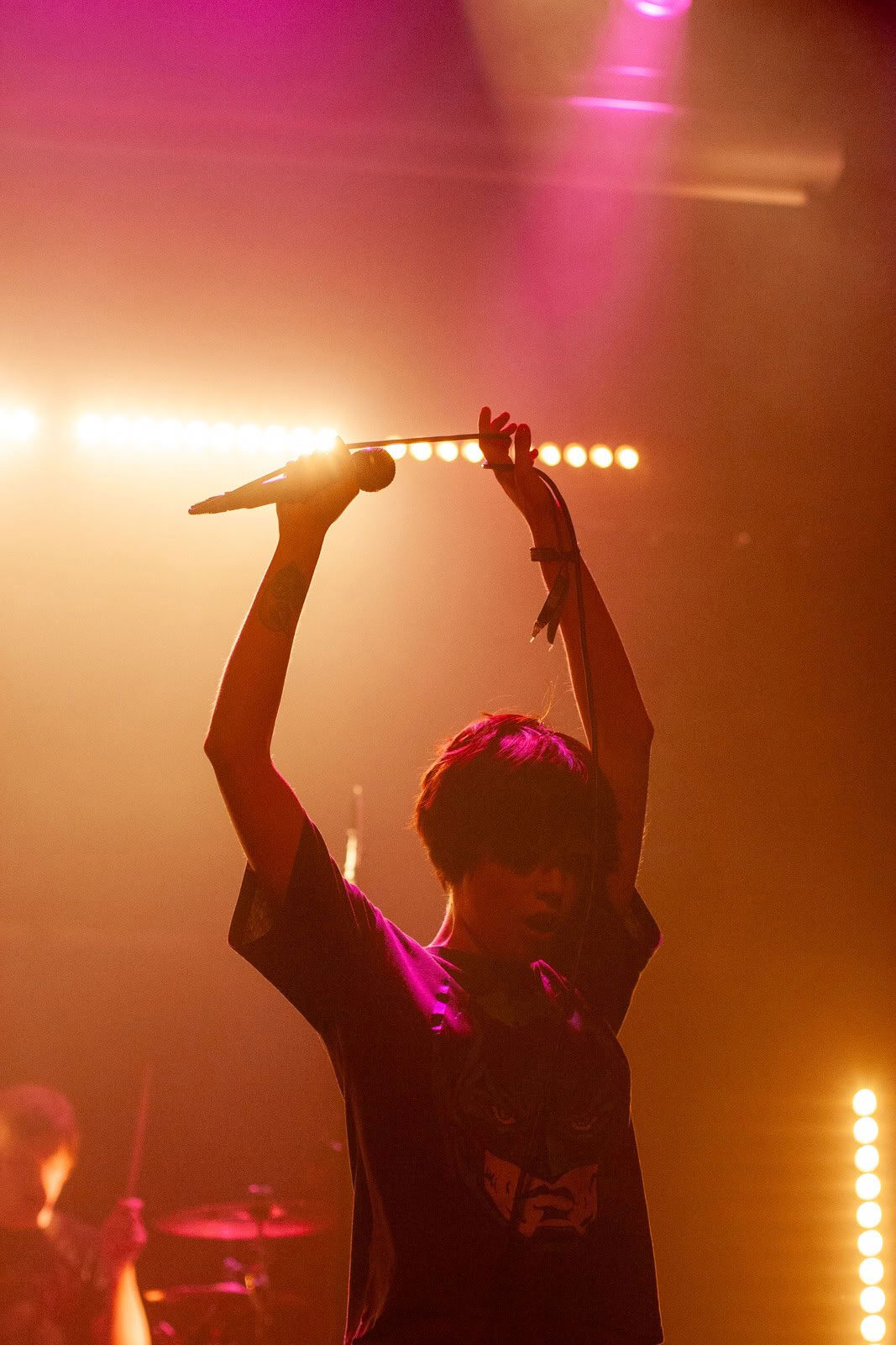 Concert photography — of Crystal Castle — at Le Grand Mix - Tourcoing — (2008) - Image 4