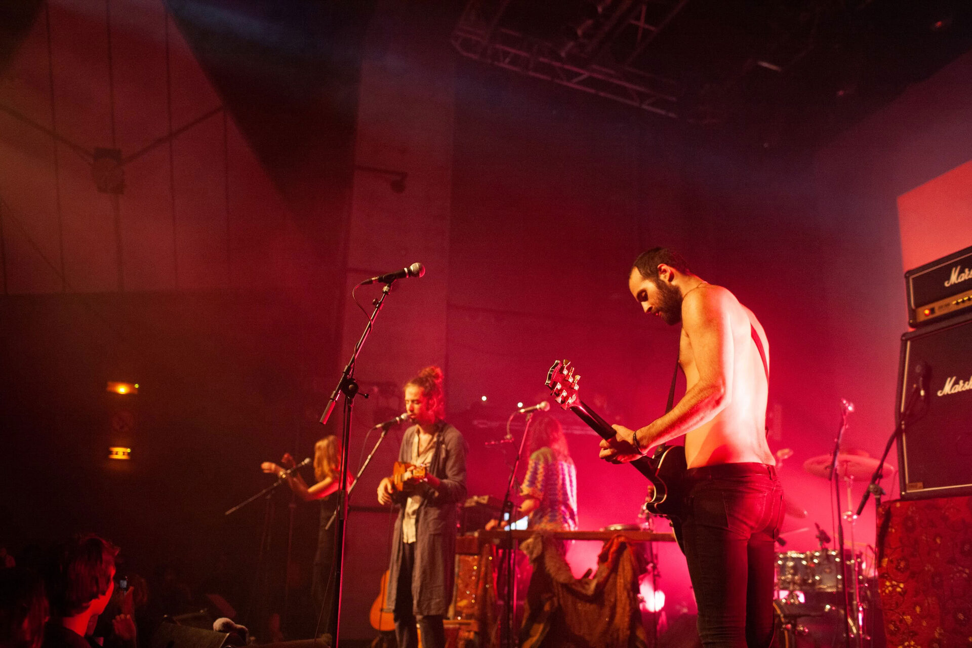 Concert photography — of Crystal Fighters — at Le Grand Mix - Tourcoing — (2011) - Image 3