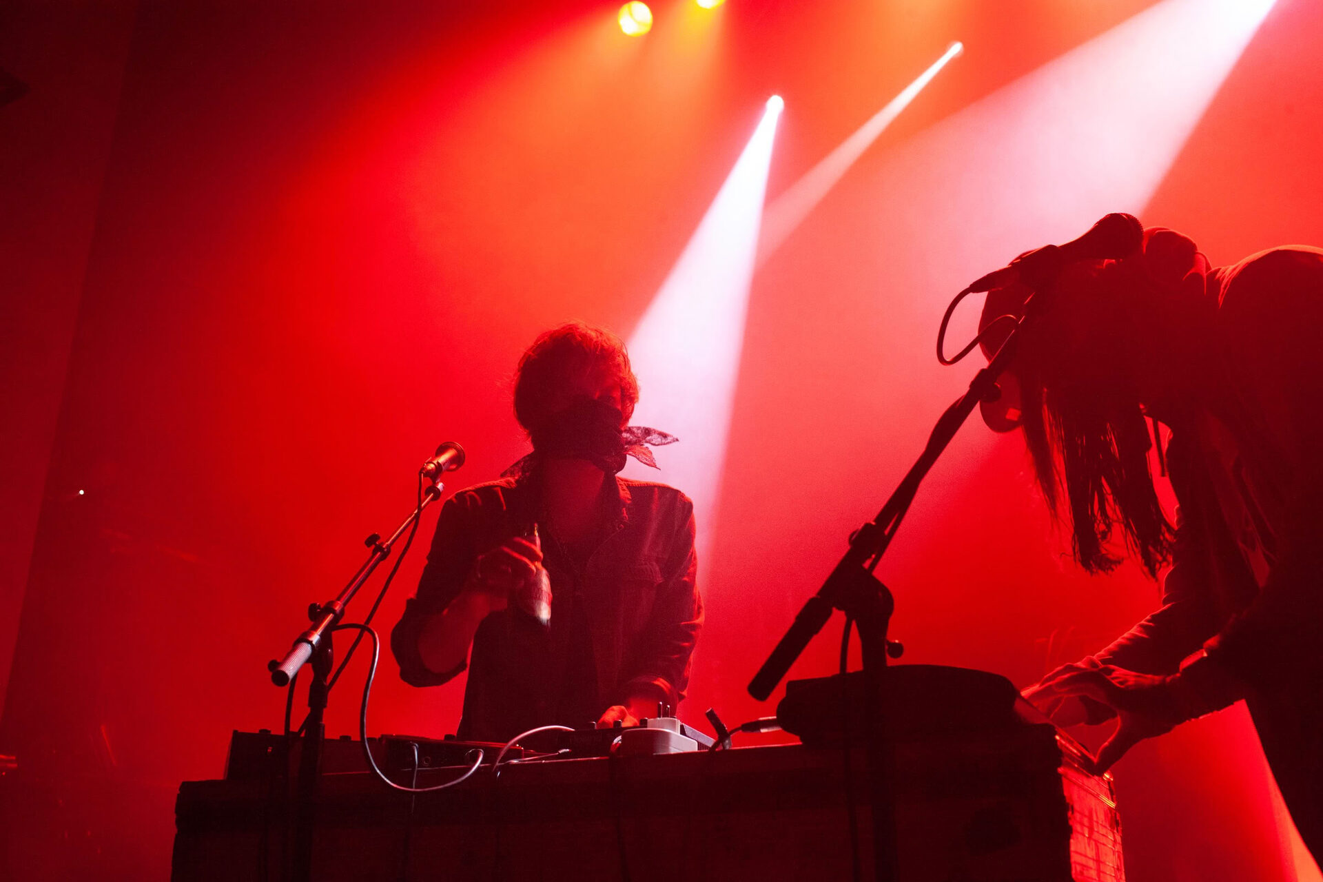 Concert photography — of Crystal Fighters — at Le Grand Mix - Tourcoing — (2011) - Image 5