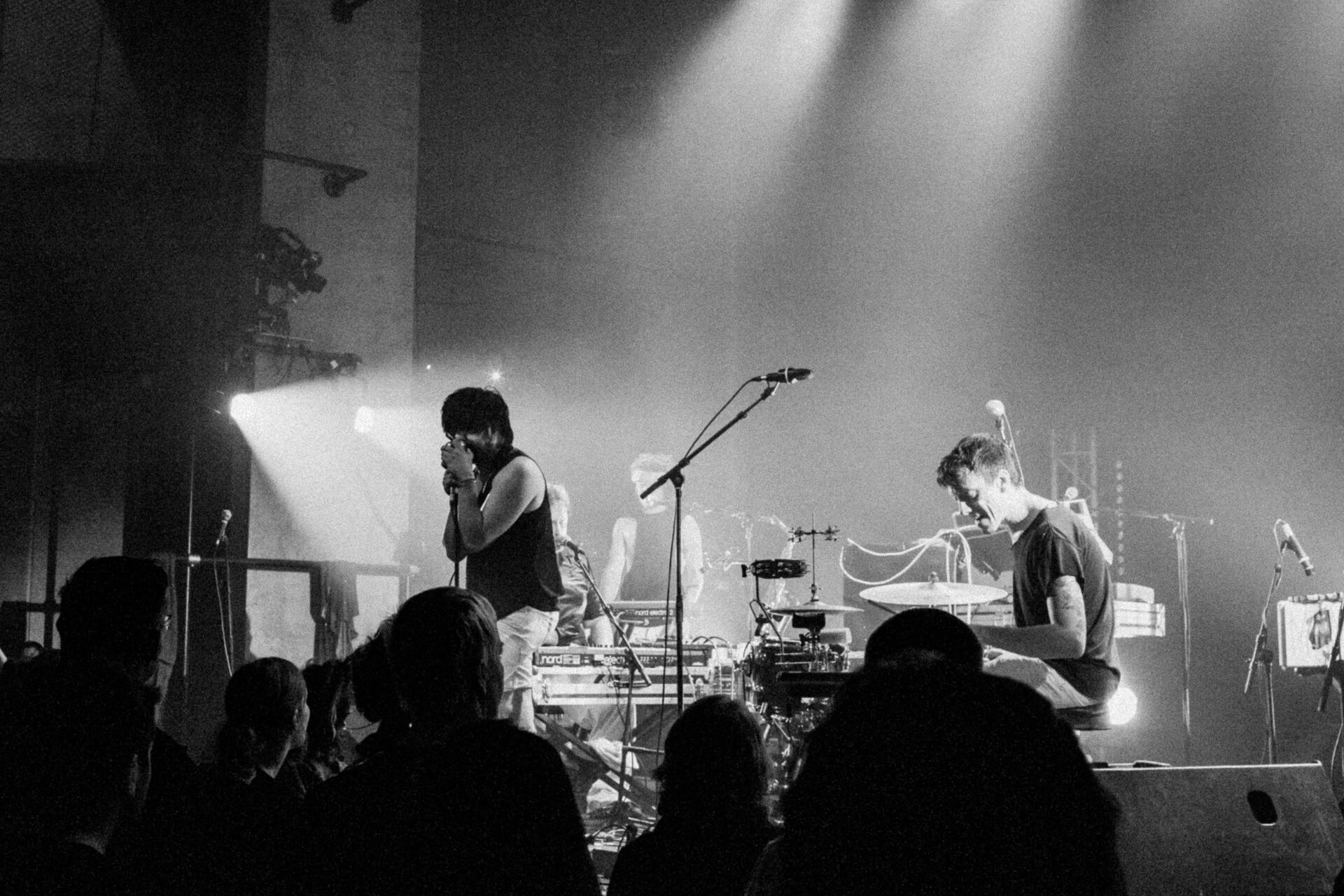 Concert photography — of Man Man — at Le Grand Mix - Tourcoing — (2011) - Image 5