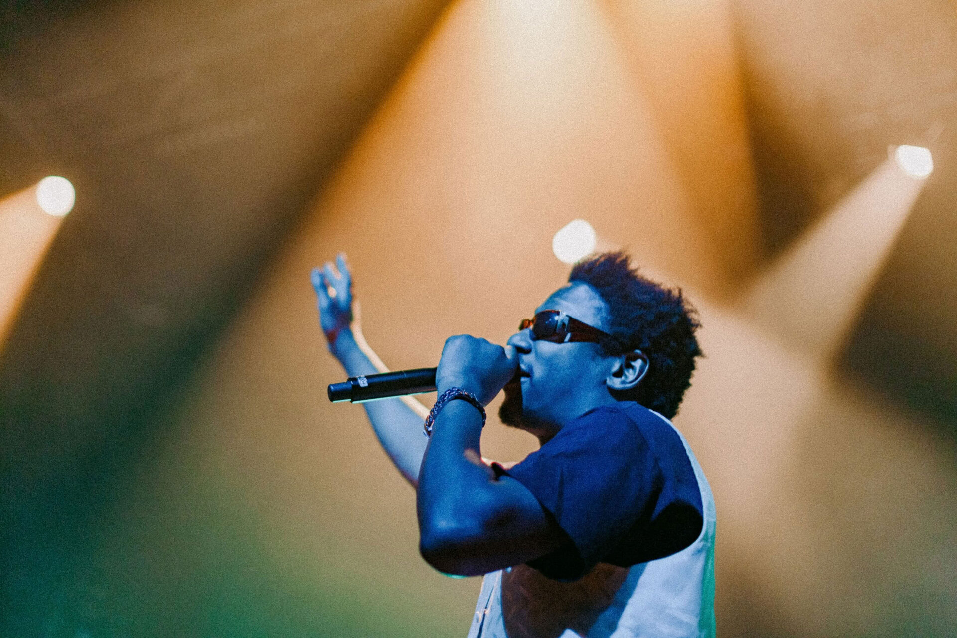 Concert photography — of Roots Manuva — at Le Grand Mix - Tourcoing — (2008) - Image 8