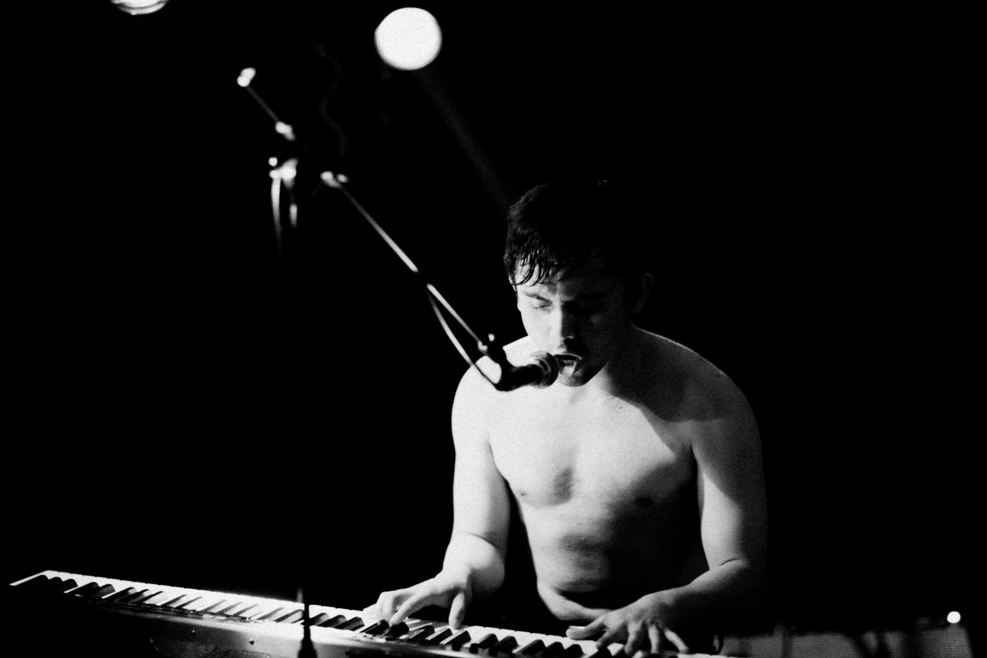 Concert photography — of Snowman — at La Malterie - Lille — (2009) - Image 8