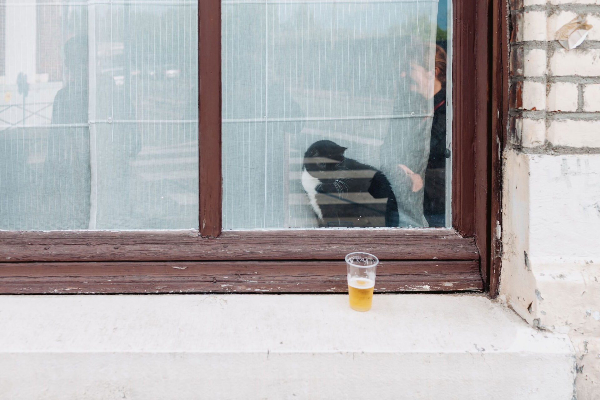 Concert photography — of Total Fucking Destruction — at Kaotoxin - Lille — (2011) - Image 5