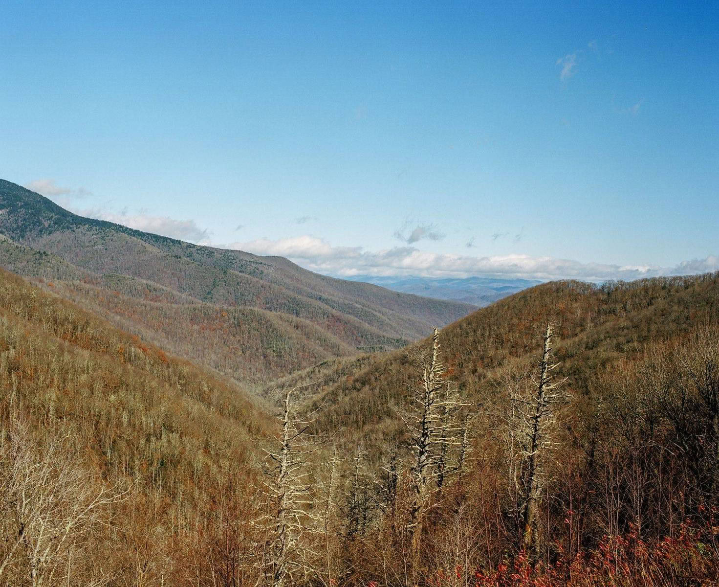 In Fiction - Brave New World