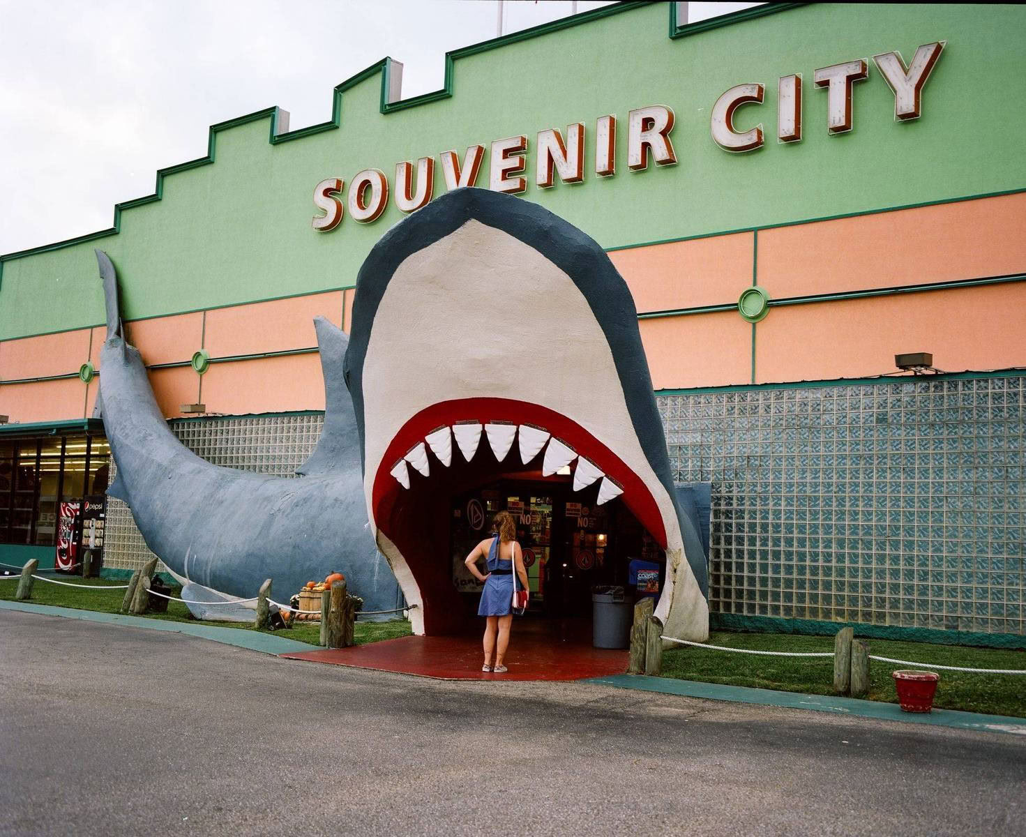 In Fiction - Brave New World