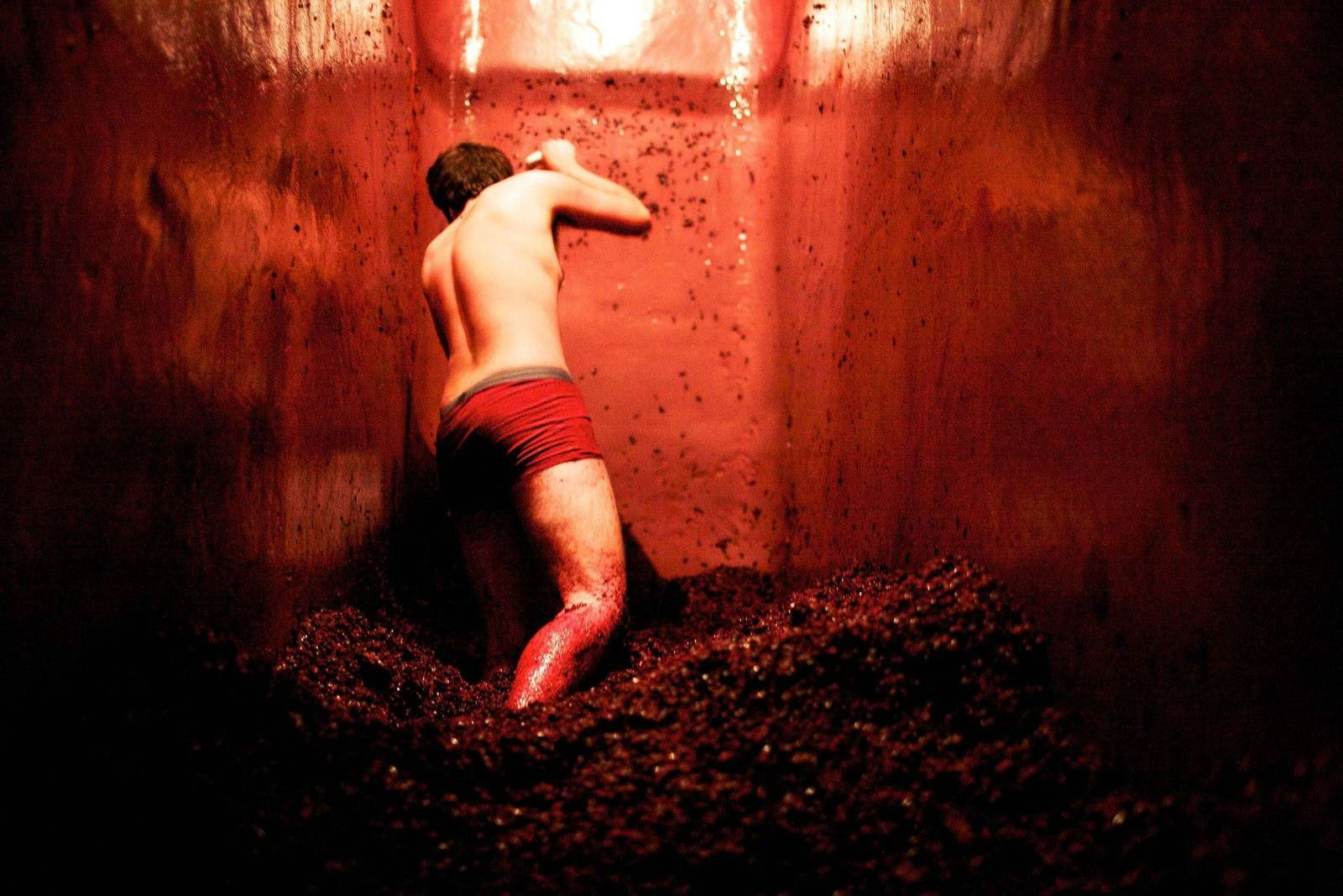 Winecore
