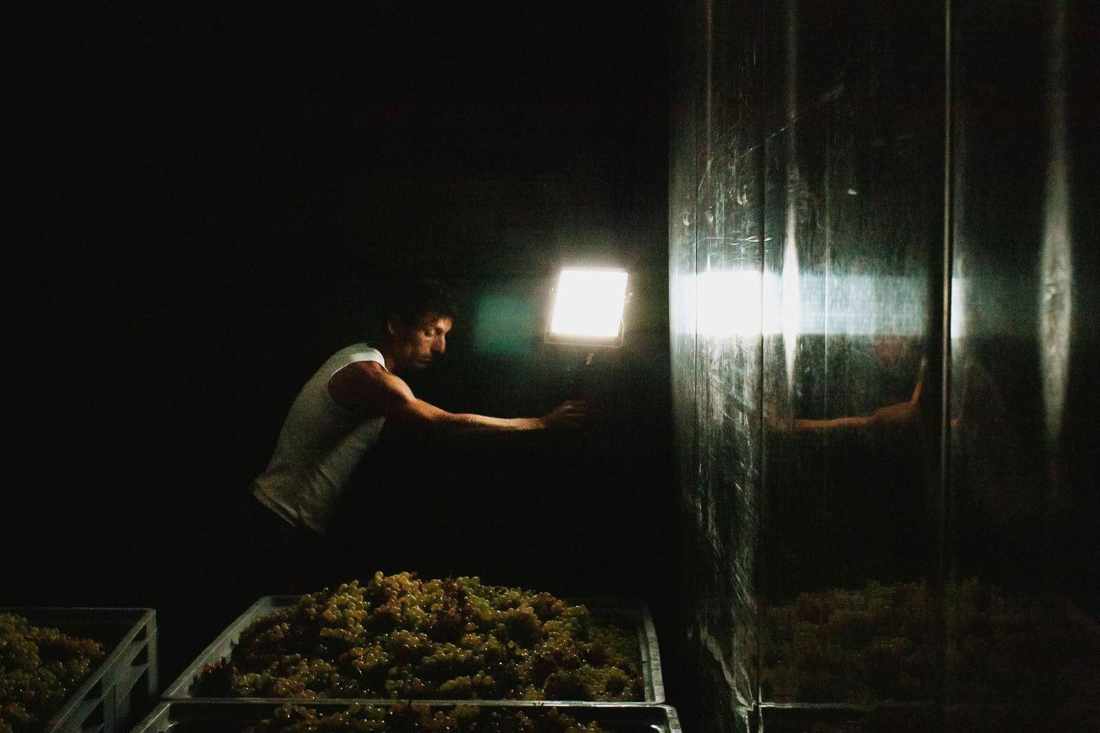 Winecore
