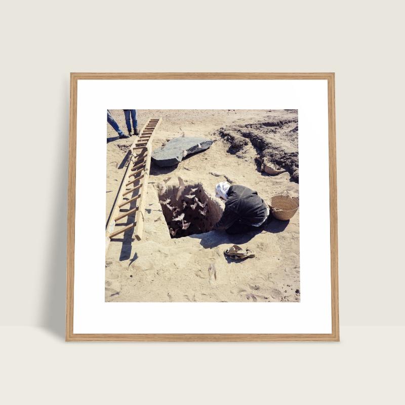 Bats flying out of a grave in Sudan — Sudan series, photograph by Mathieu Drouet
