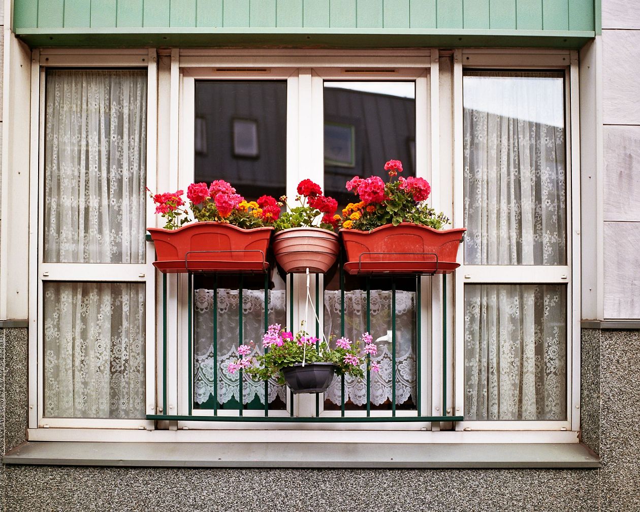 Flowers in pots on the windowsill of a house in Lille, France
