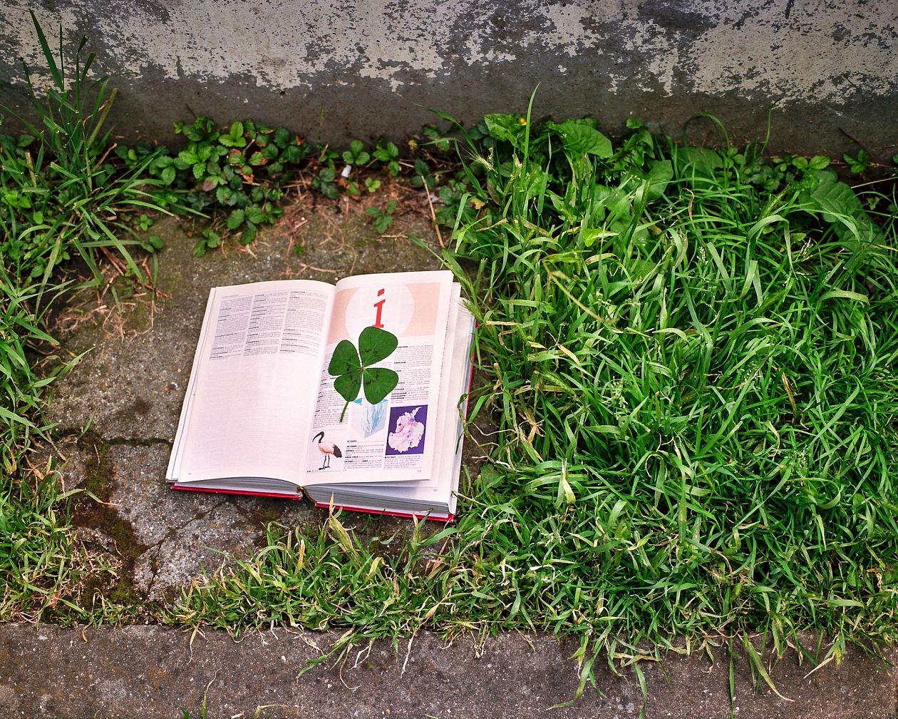 Open book with green grass on the ground. Lille, France