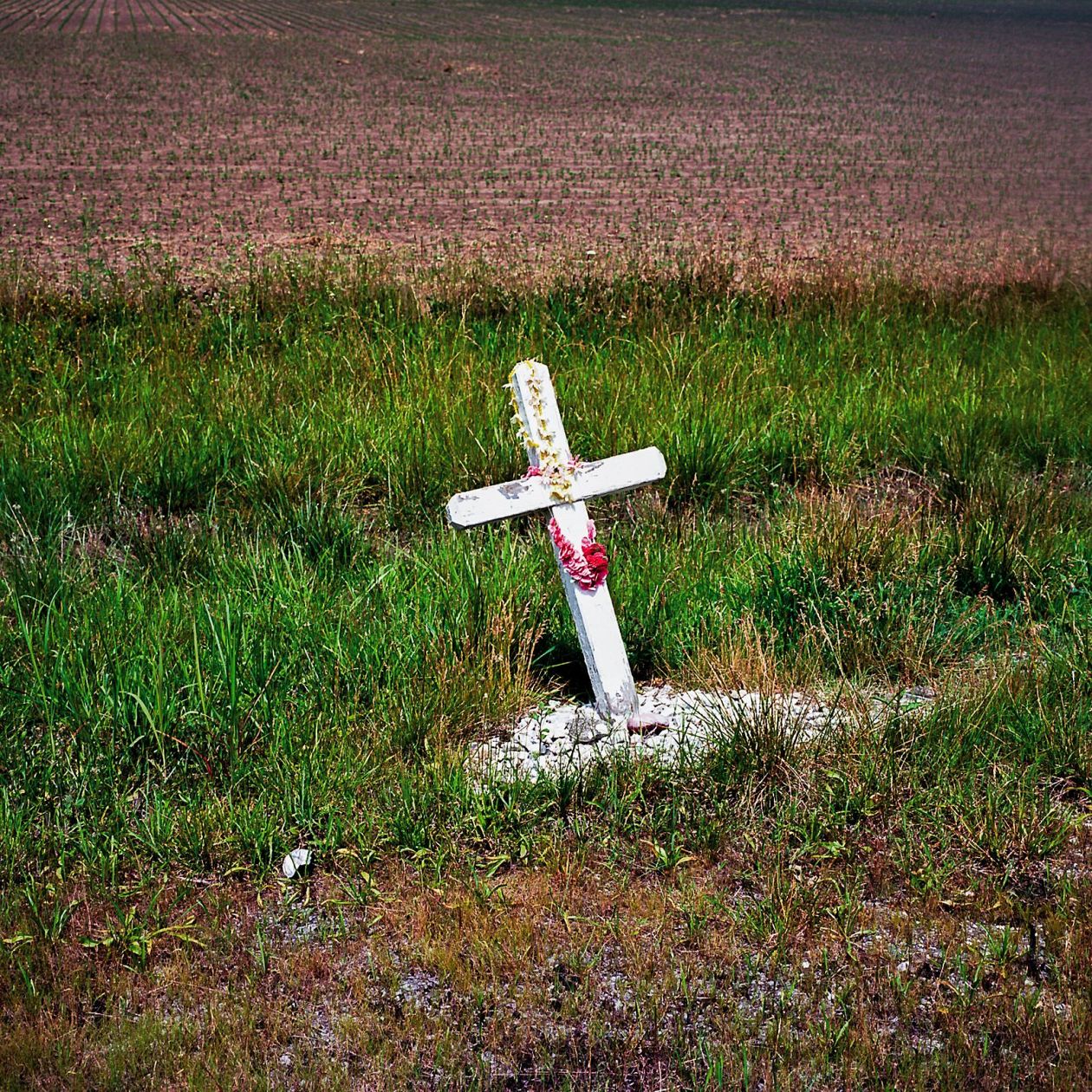 cross in the field with a red ribbon on the top of it